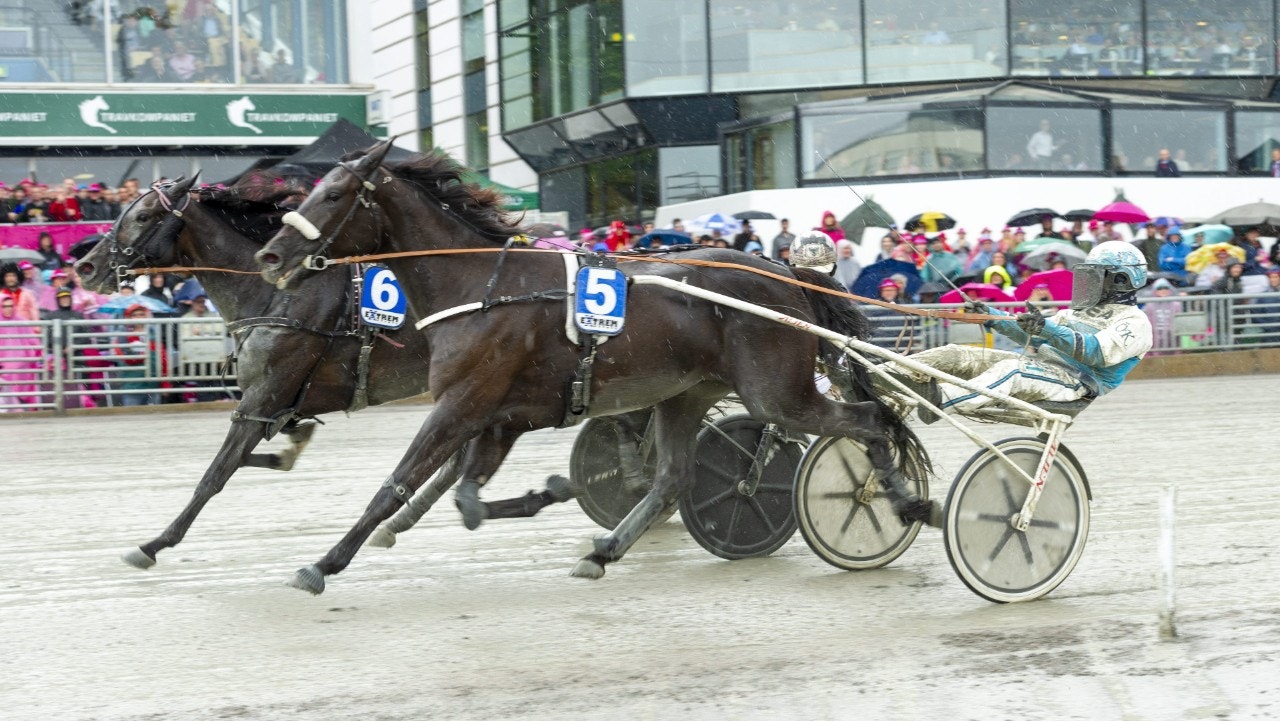 Sashay My Way tog ned Avena Jet - på linjen. Foto: Tommy Andersson, ALN