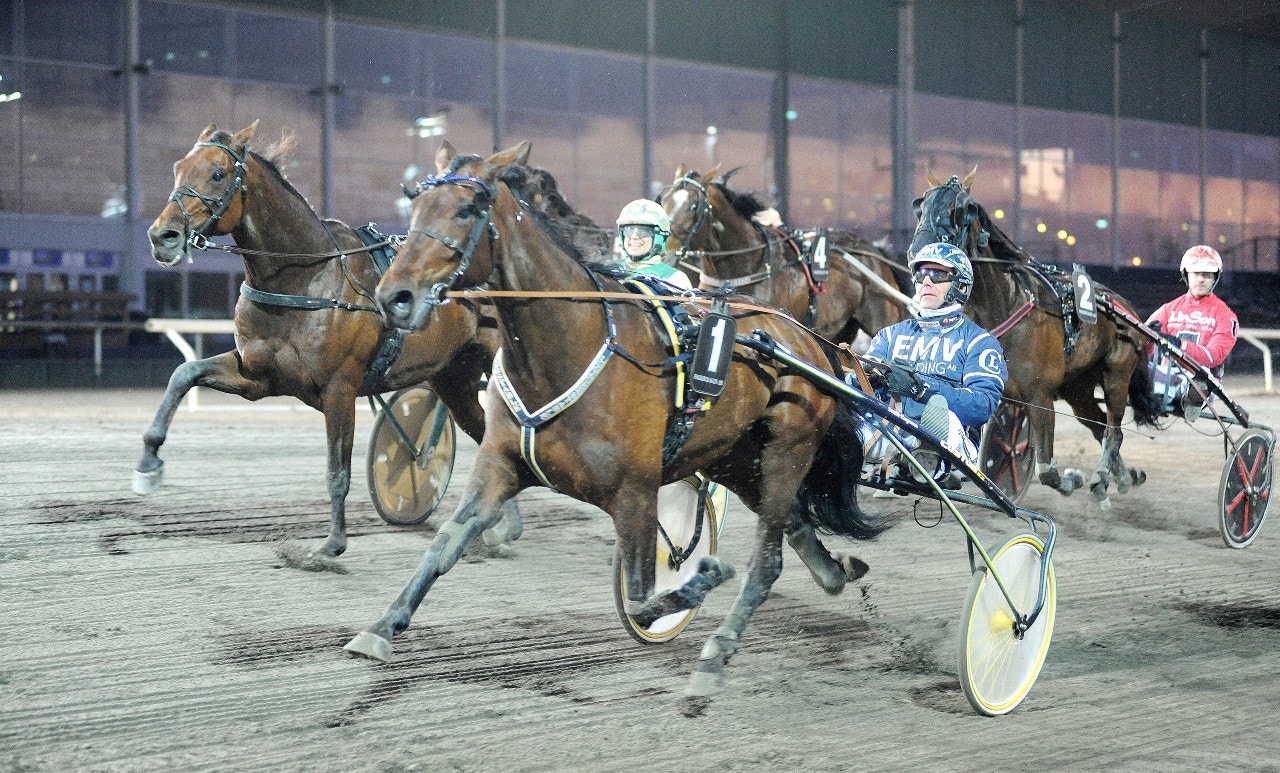 Dags för Quit E. Wood nu? Foto: Jörgen Tufvesson, ALN