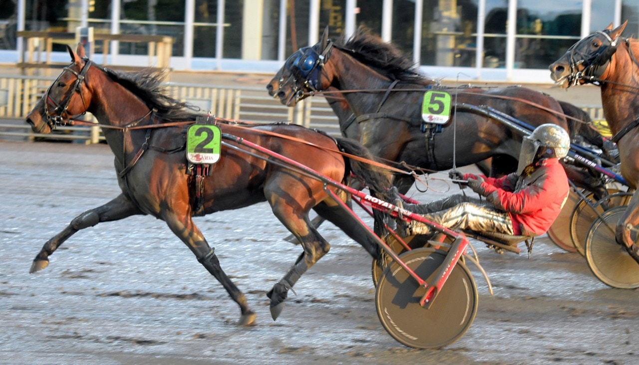 Go West Young Man är en av svenskarna som åker söderöver. Foto: Martin Langels, ALN