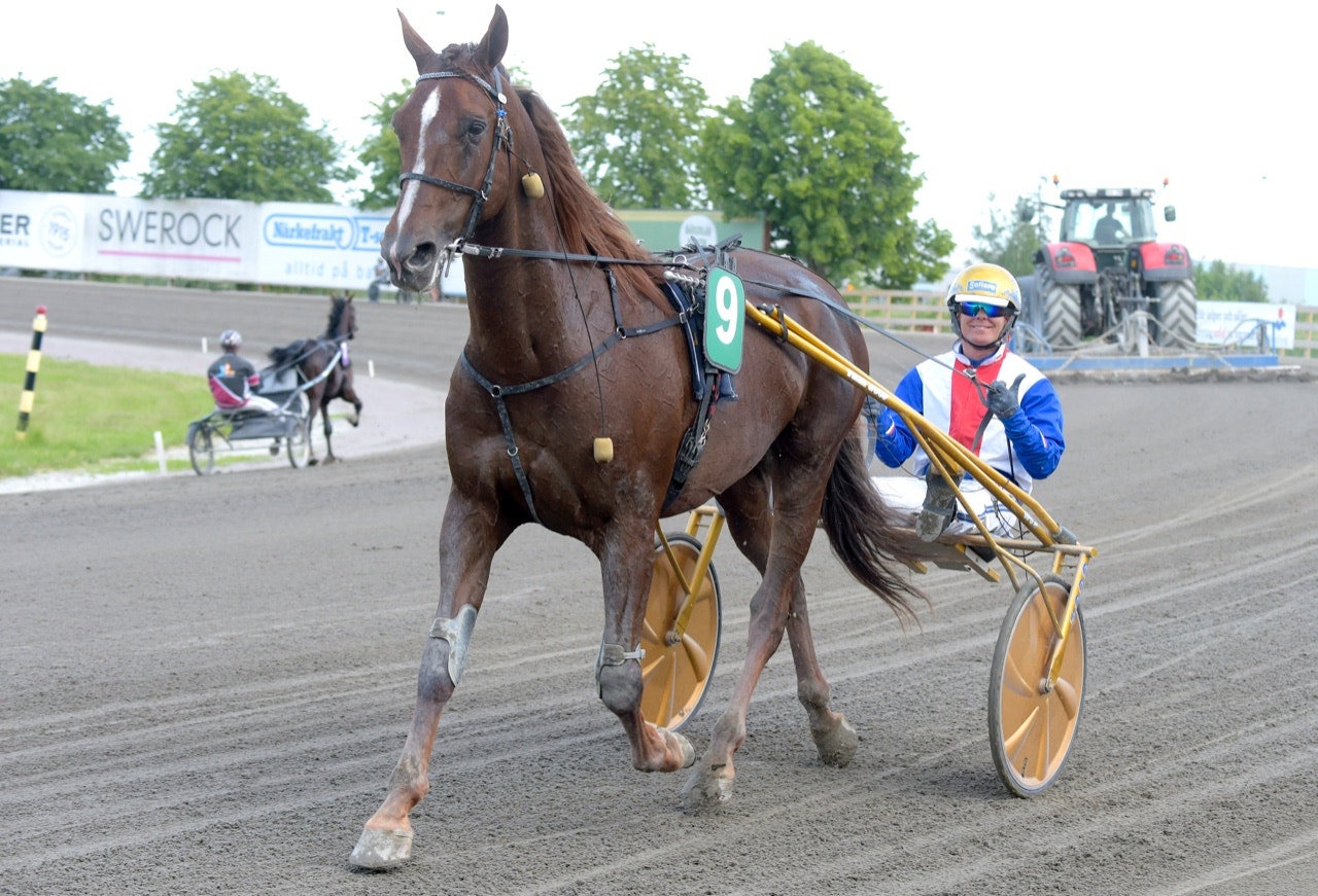 Stort smil på Goop efter Romanesques fullträff - Foto: ALN