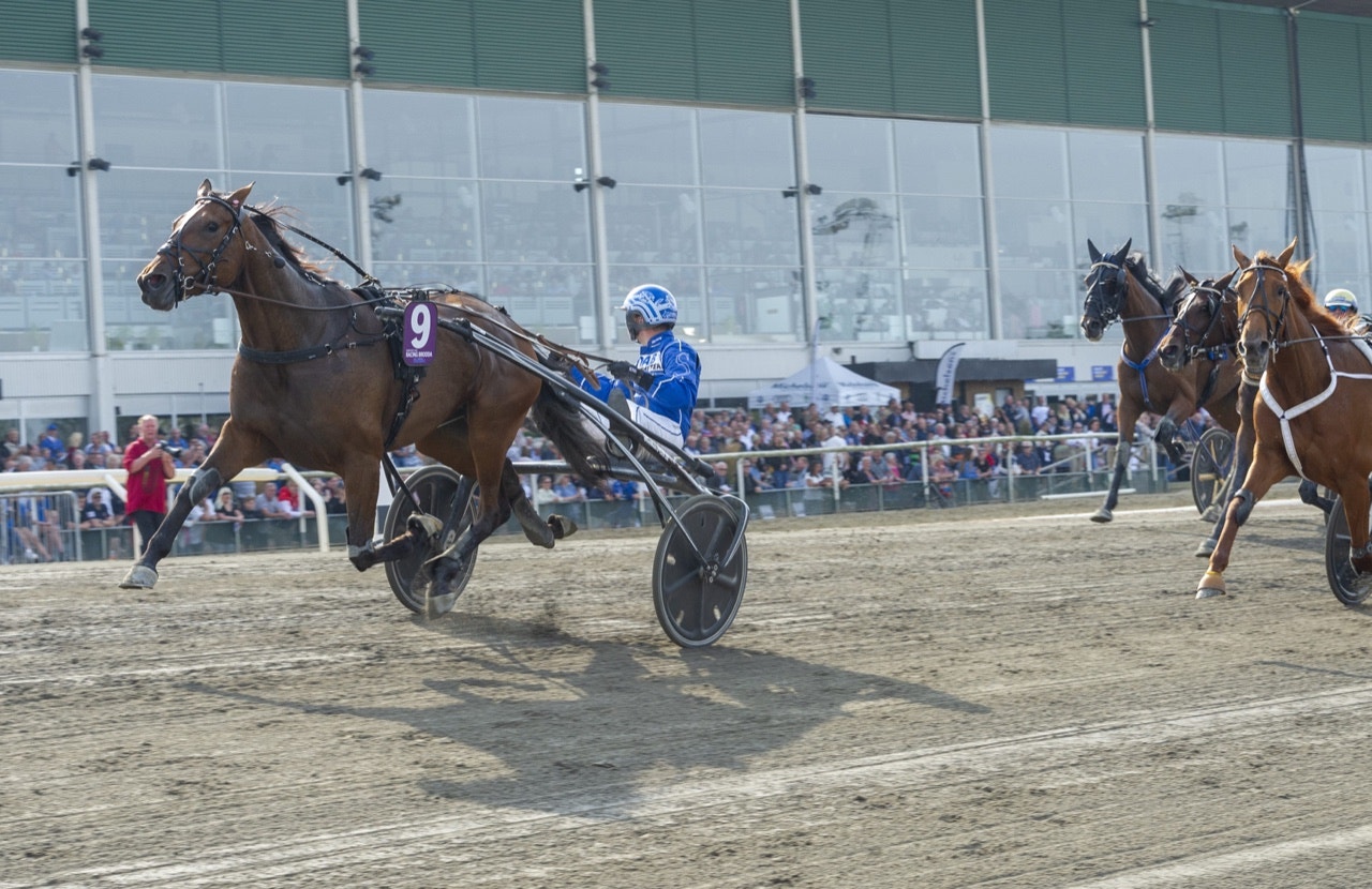 Enbart skuggboxning av de svenska proffstränarna?