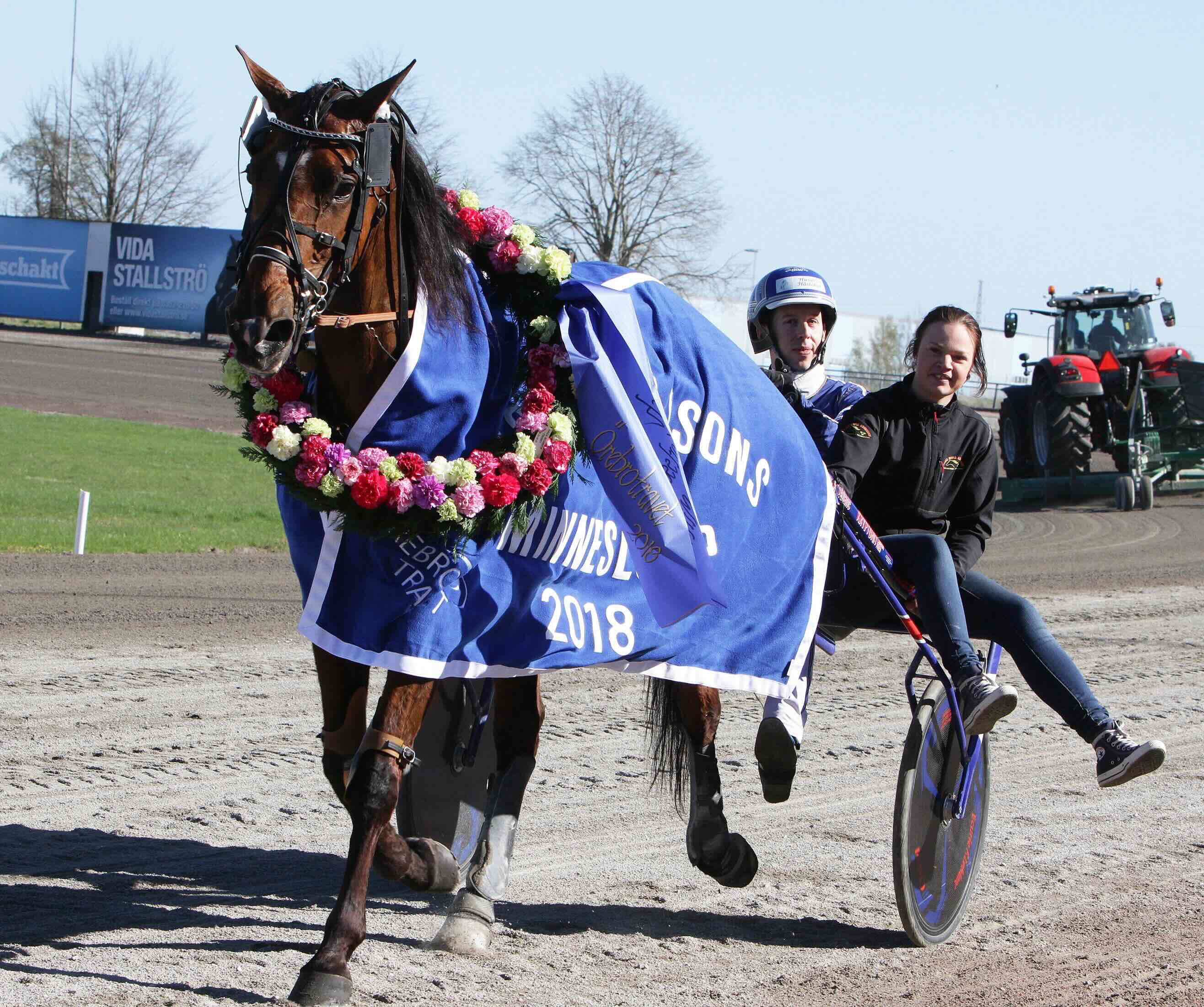 Stjärnhäst död – skrämd av fyrverkerier