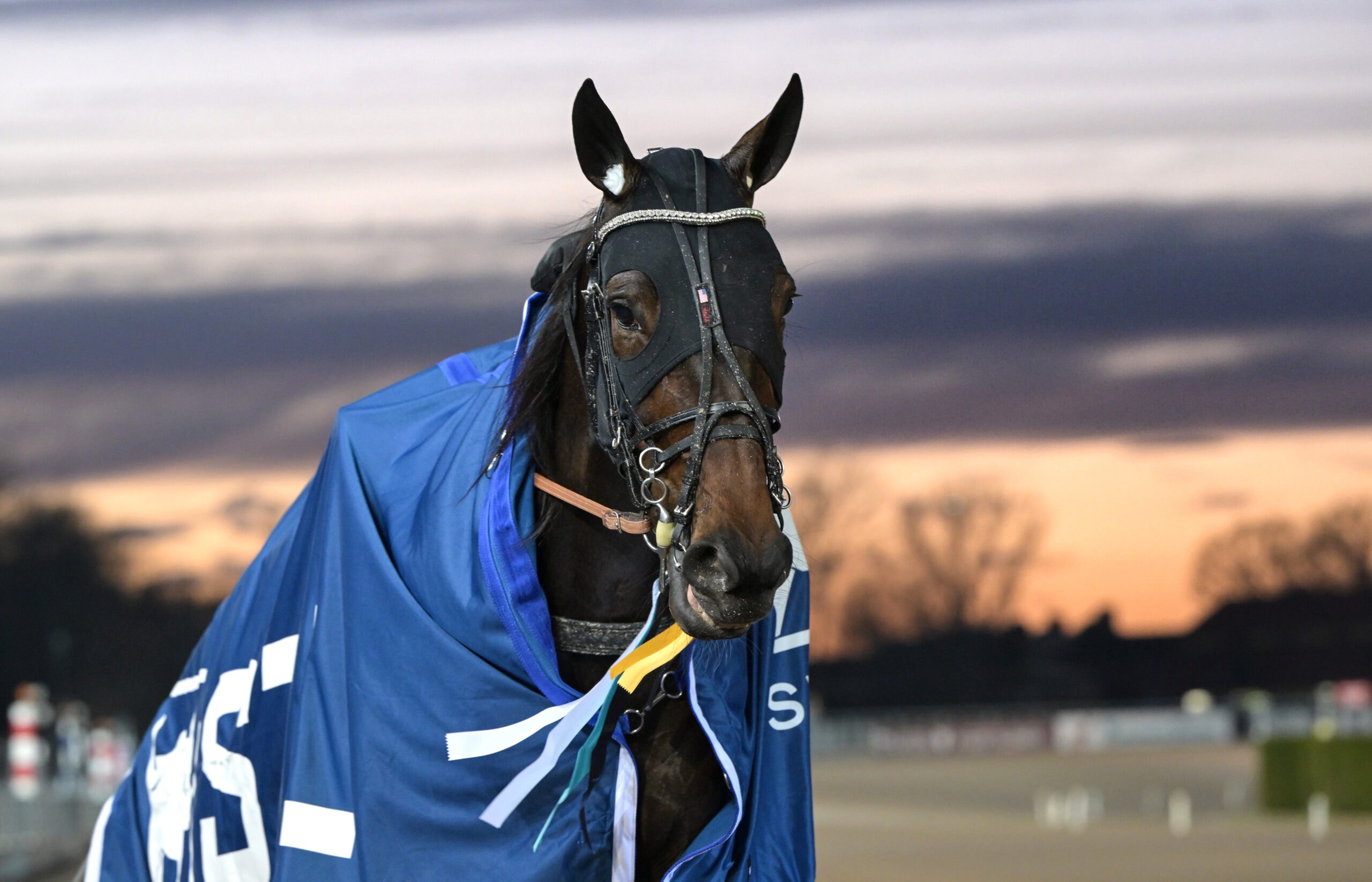 Foto: Lars Jakobsson, TR Bild