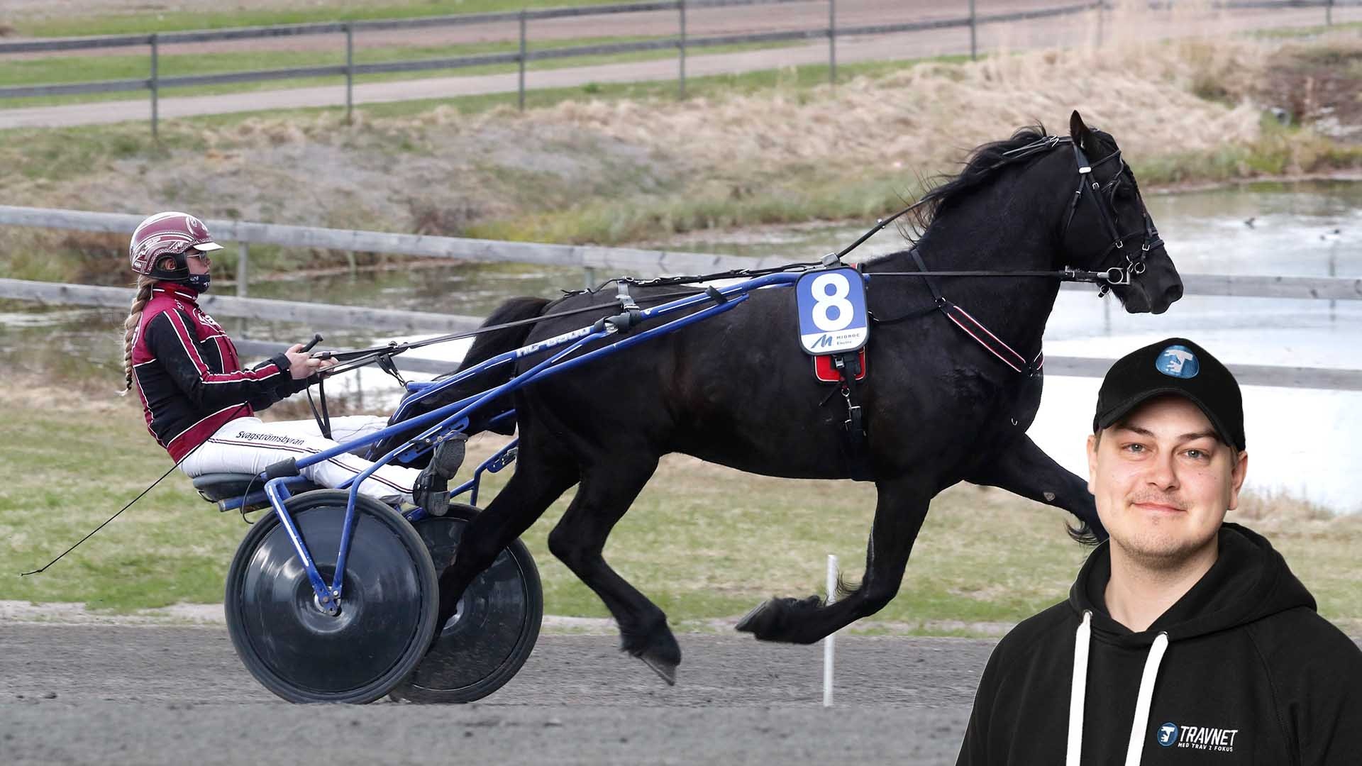 Tidiga tankar inför V75 - spännande spårval
