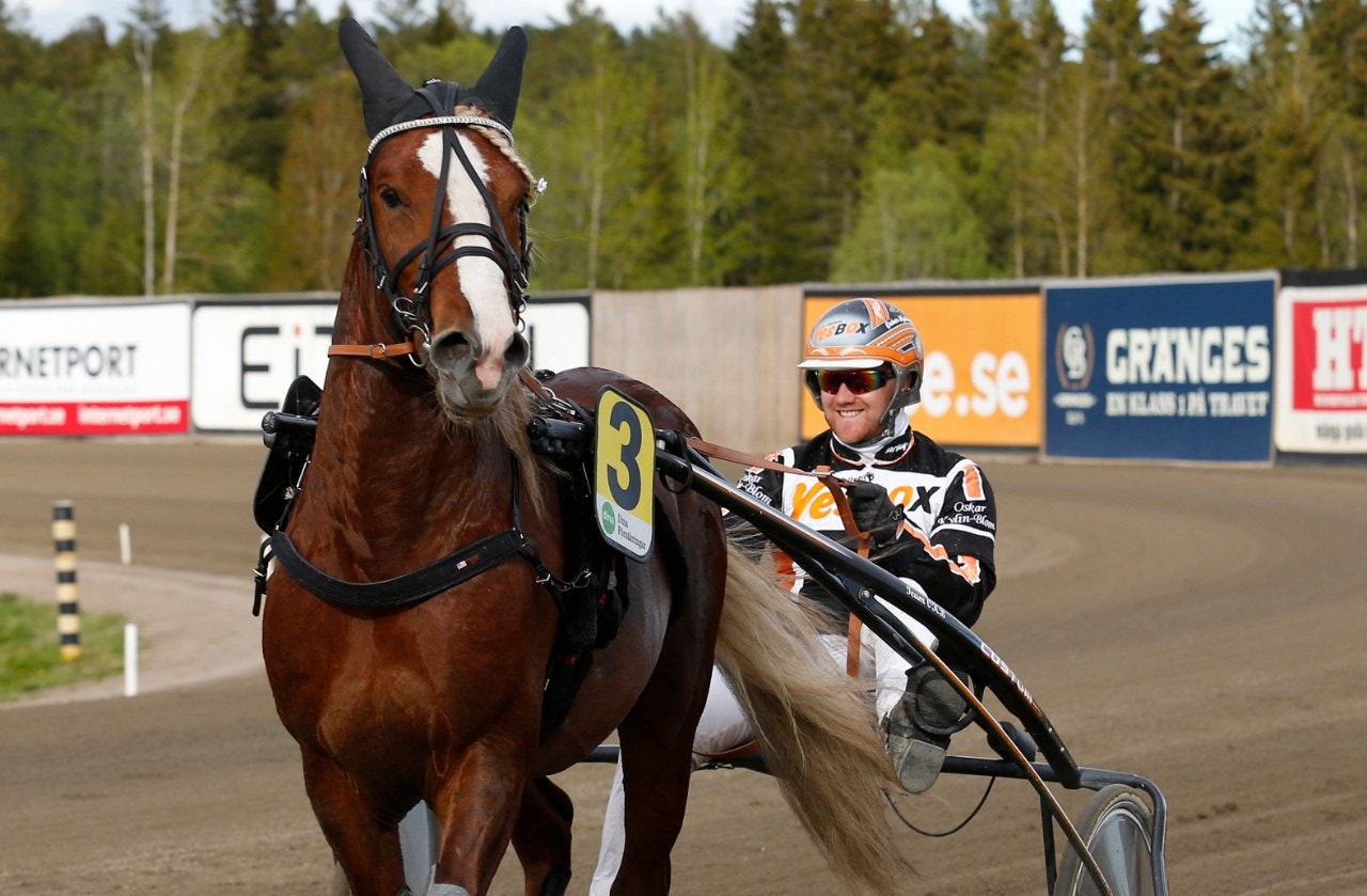 Bäcklös Faron förärades "best in show"-utmärkelsen. Foto: Hanold, ALN