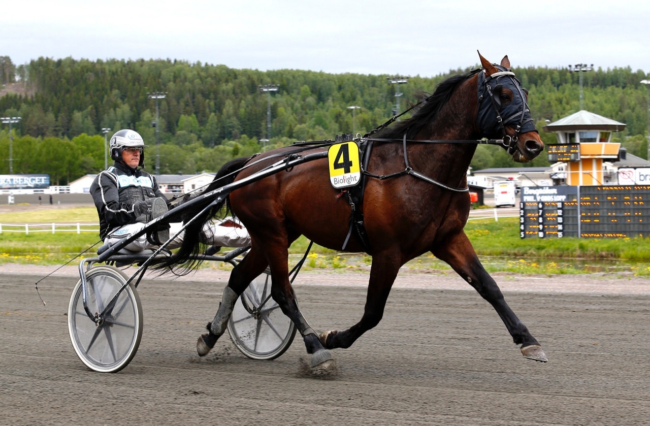 Brunello Hall och Robert Bergh blir ett av liren på "ön" - Foto: ALN