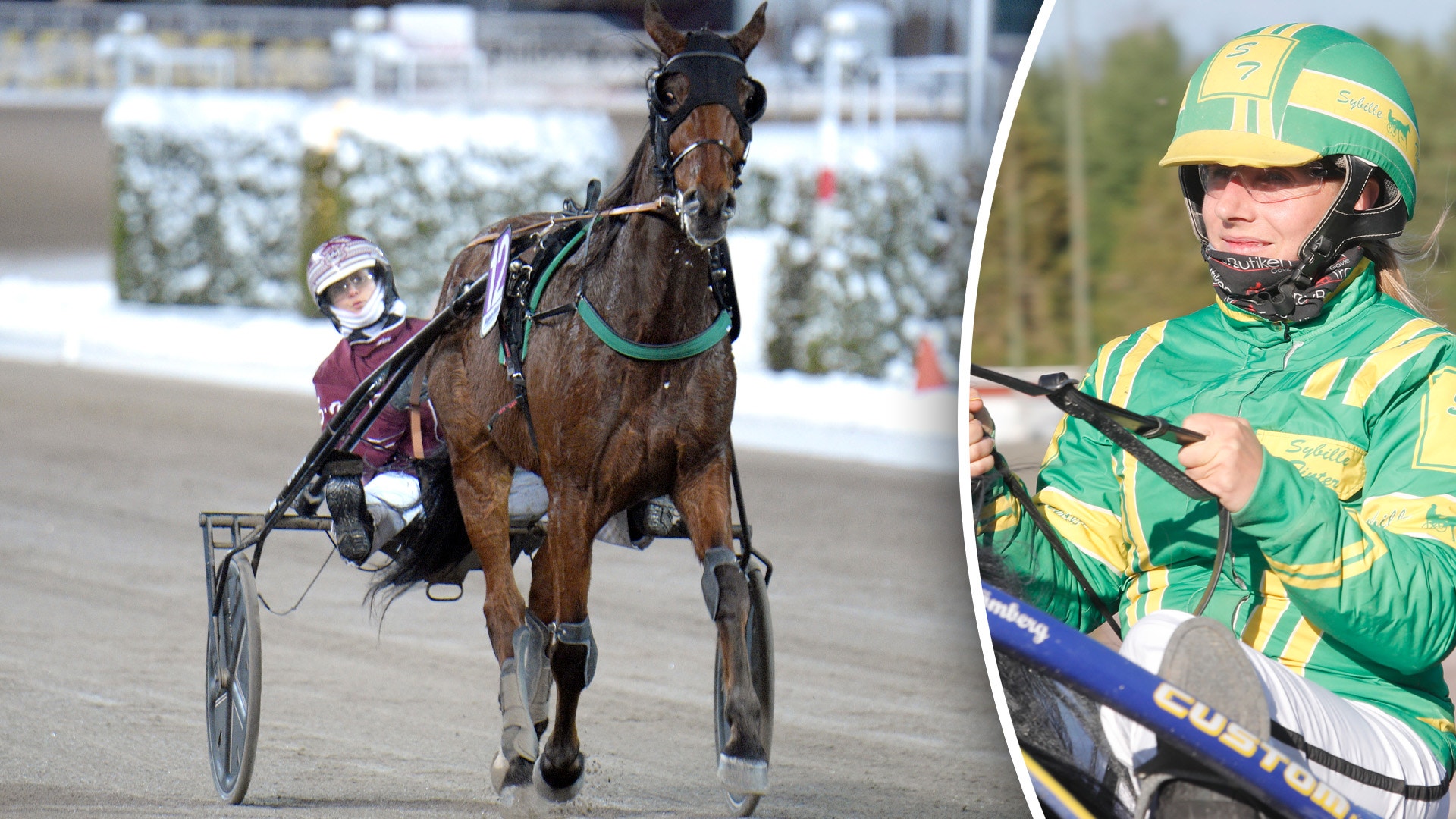 Trots succéstarten - nu flyttas hästen från Tinter