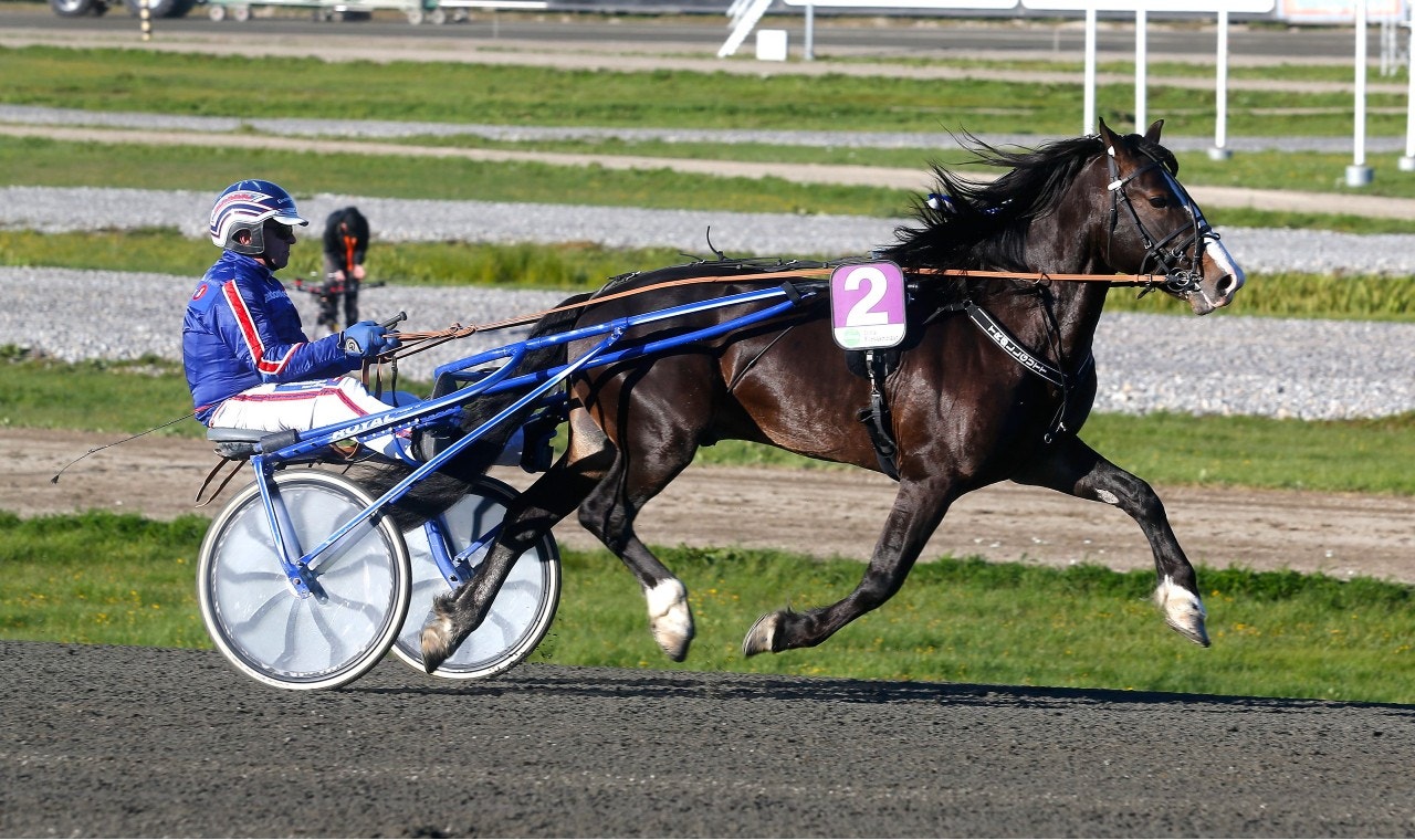 T.B.'s Tröllgutt är spelet i Dubbelcupens final. Foto: Hanold, ALN