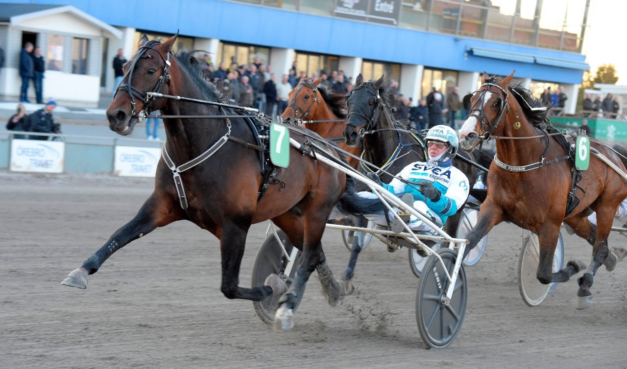 Perfect Spirit tillbaka som vinnare när han utan problem tog hem Gotlandslöpningen. Foto: ALN
