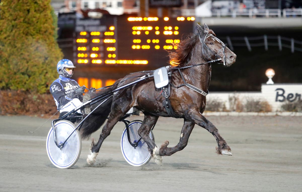 Zargo Henrik Svensson