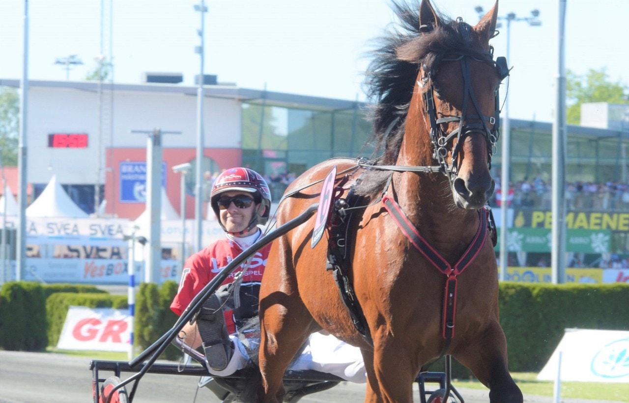 Åby Stora Pris blir nästa för Pastore Bob