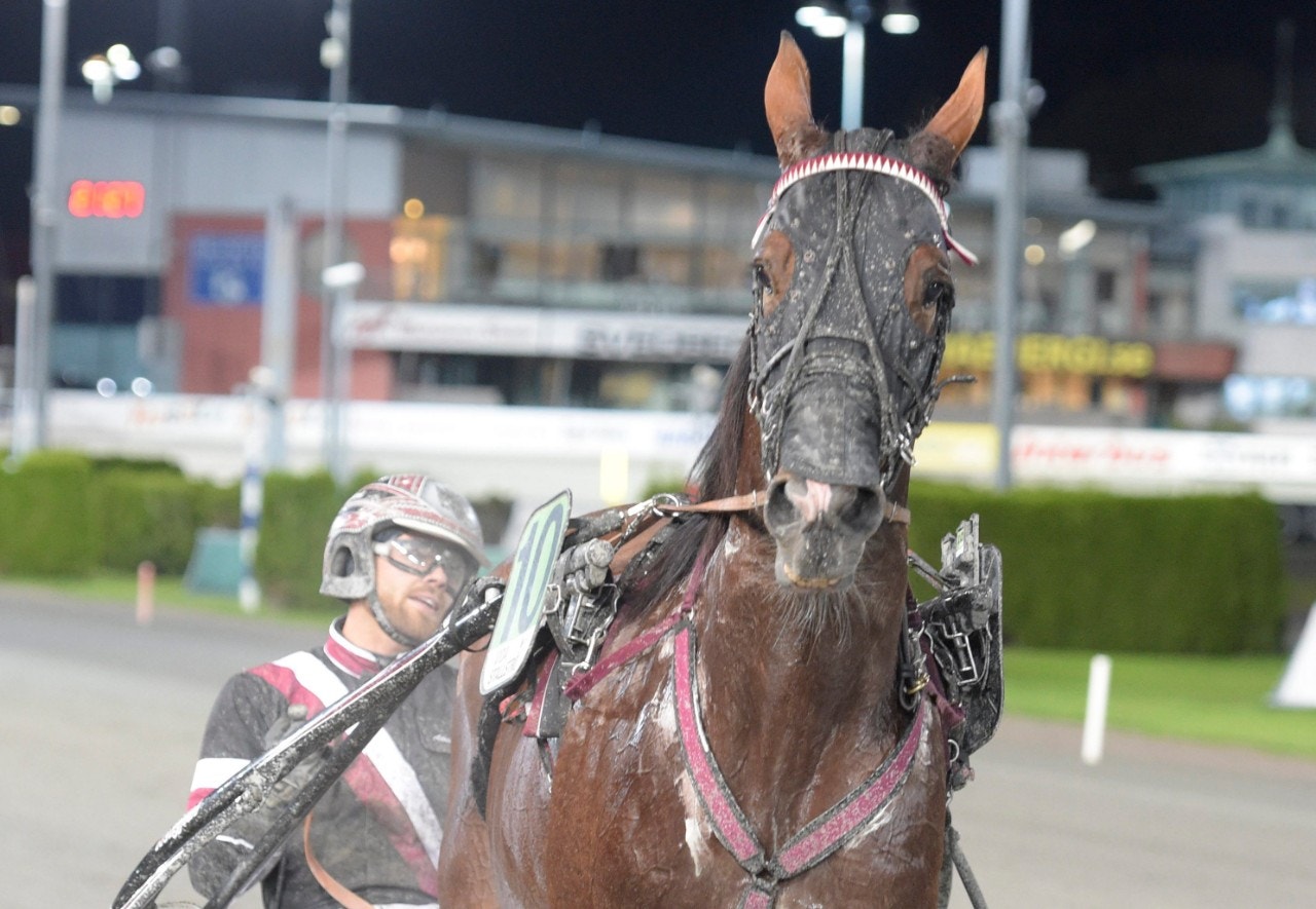 Solvalla 29 september: Tuta och kör, Adrian!
