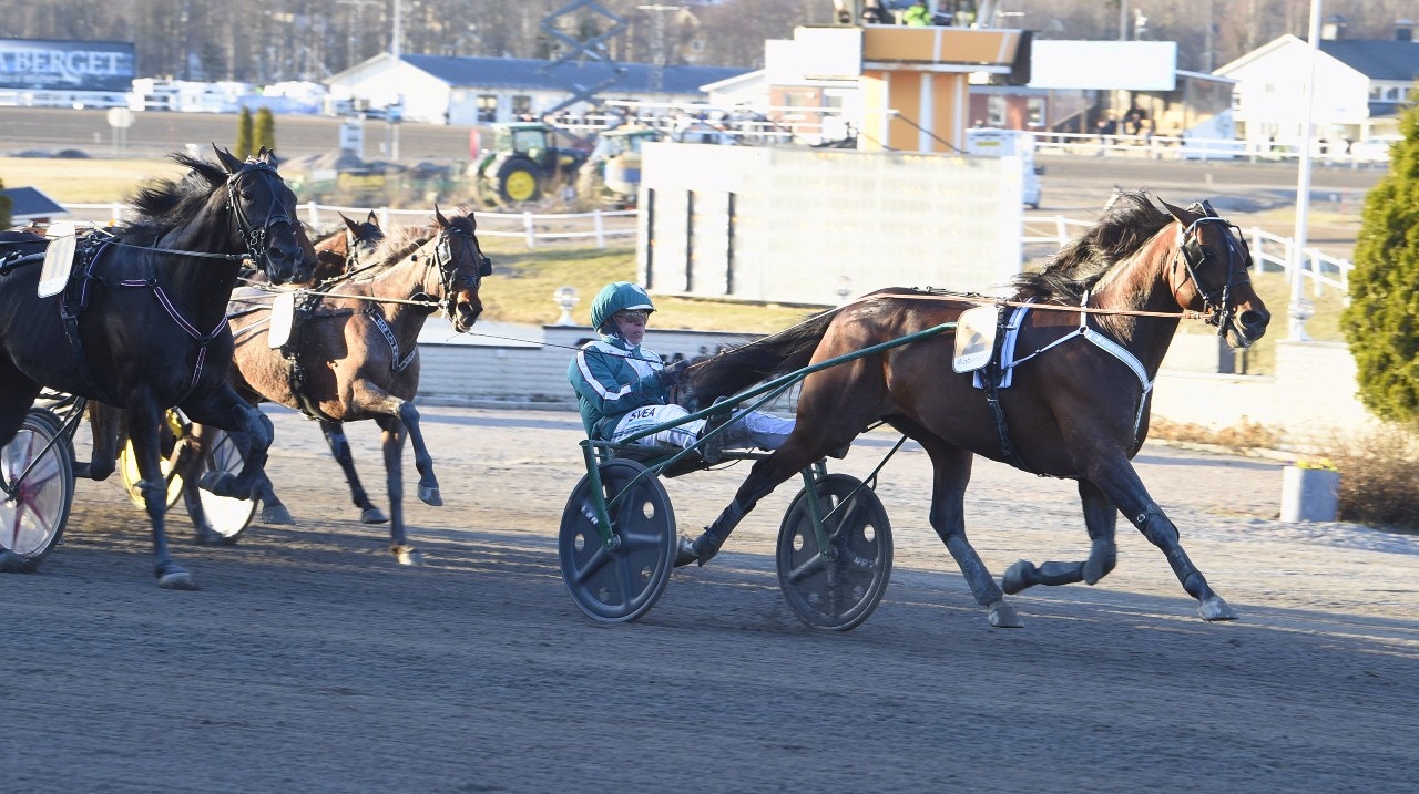 Who's Who avgör med lätthet i spurten när andra deltävlingen till Paraylmpiatravet avgjordes. Foto: Christer Norin, ALN