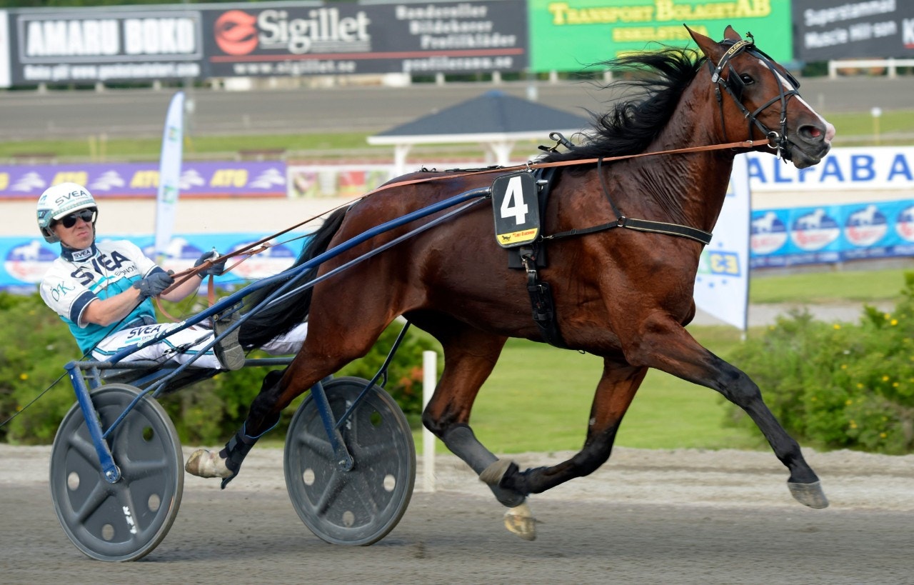 Tips Jägersro 31 augusti: Global Winner rundar fältet
