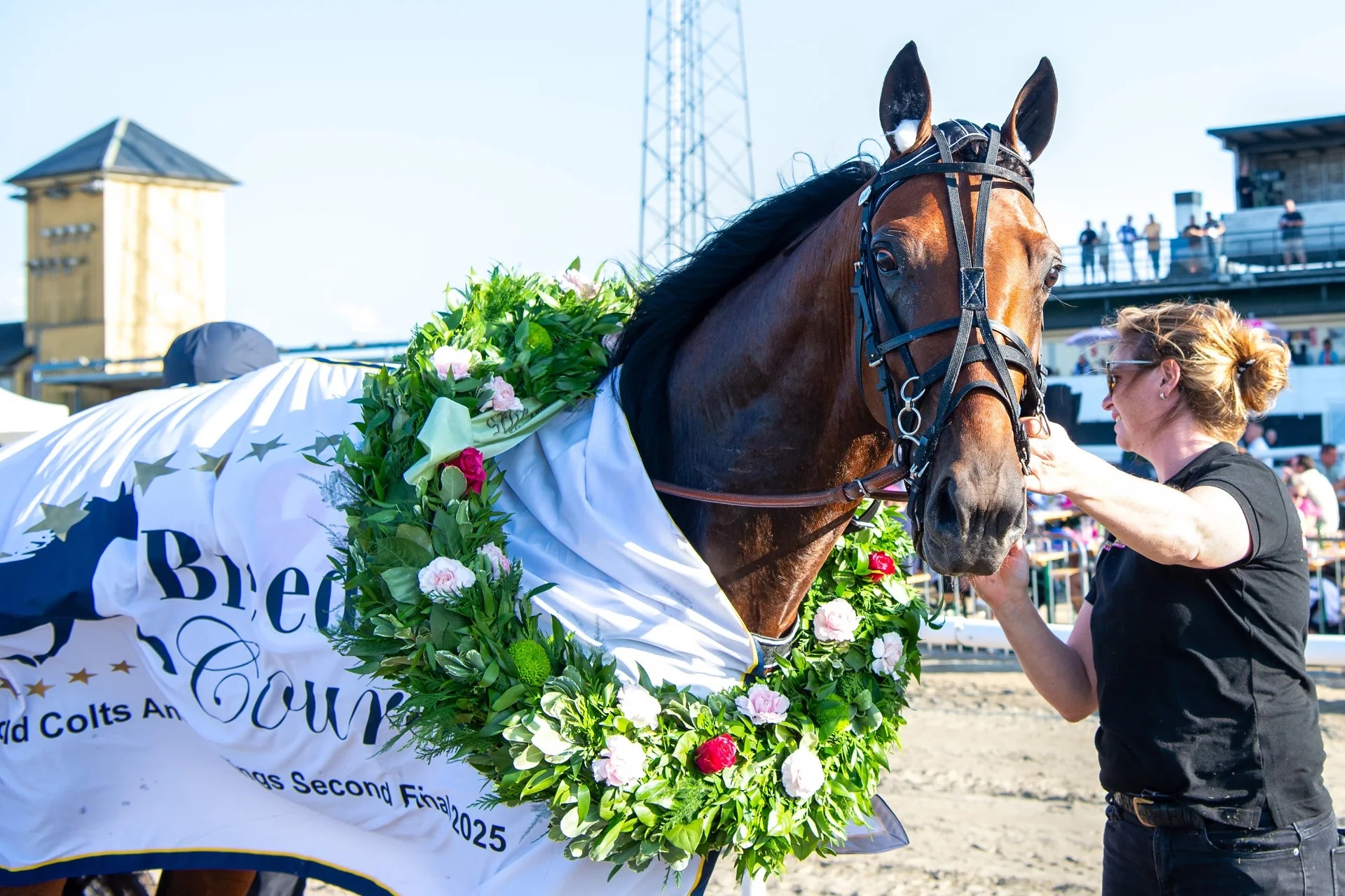 Dags för Breeders Course på Solvalla