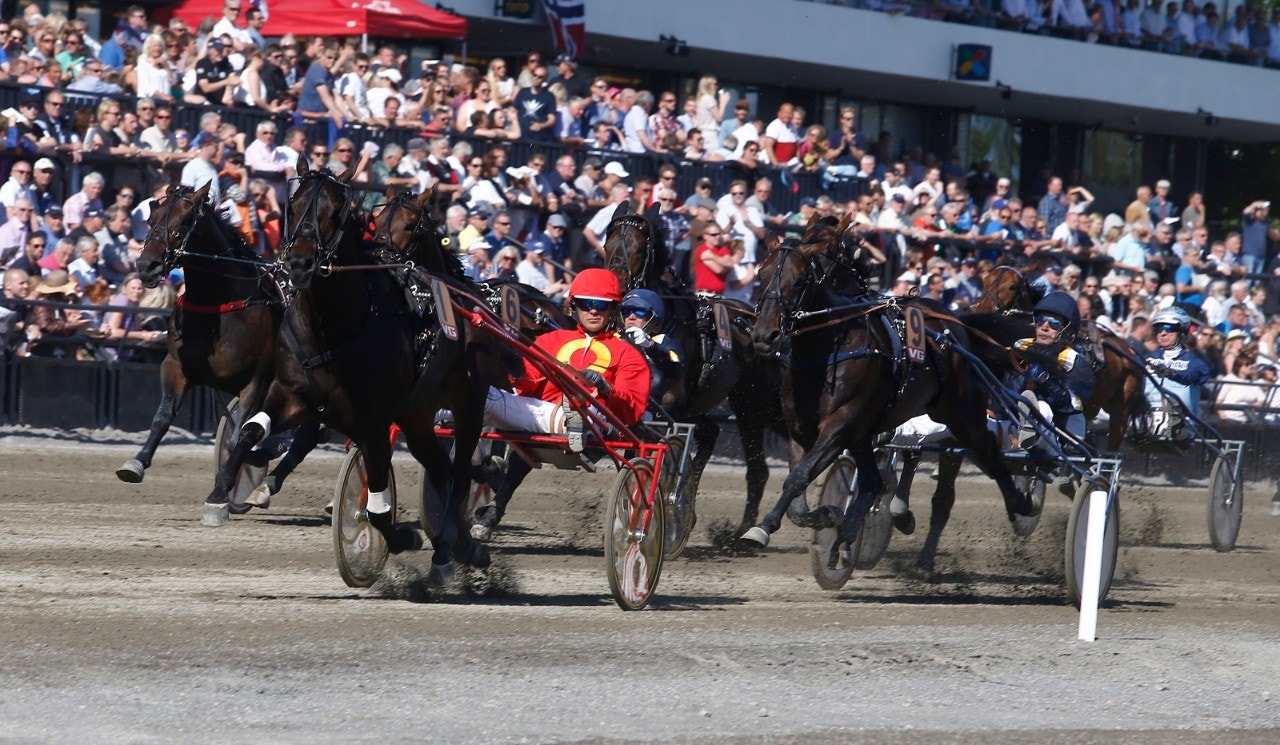 Cruzado Dela Noce ställs bland annat mot ett par Hambovinnare i Mr Muscleman - Foto: ALN