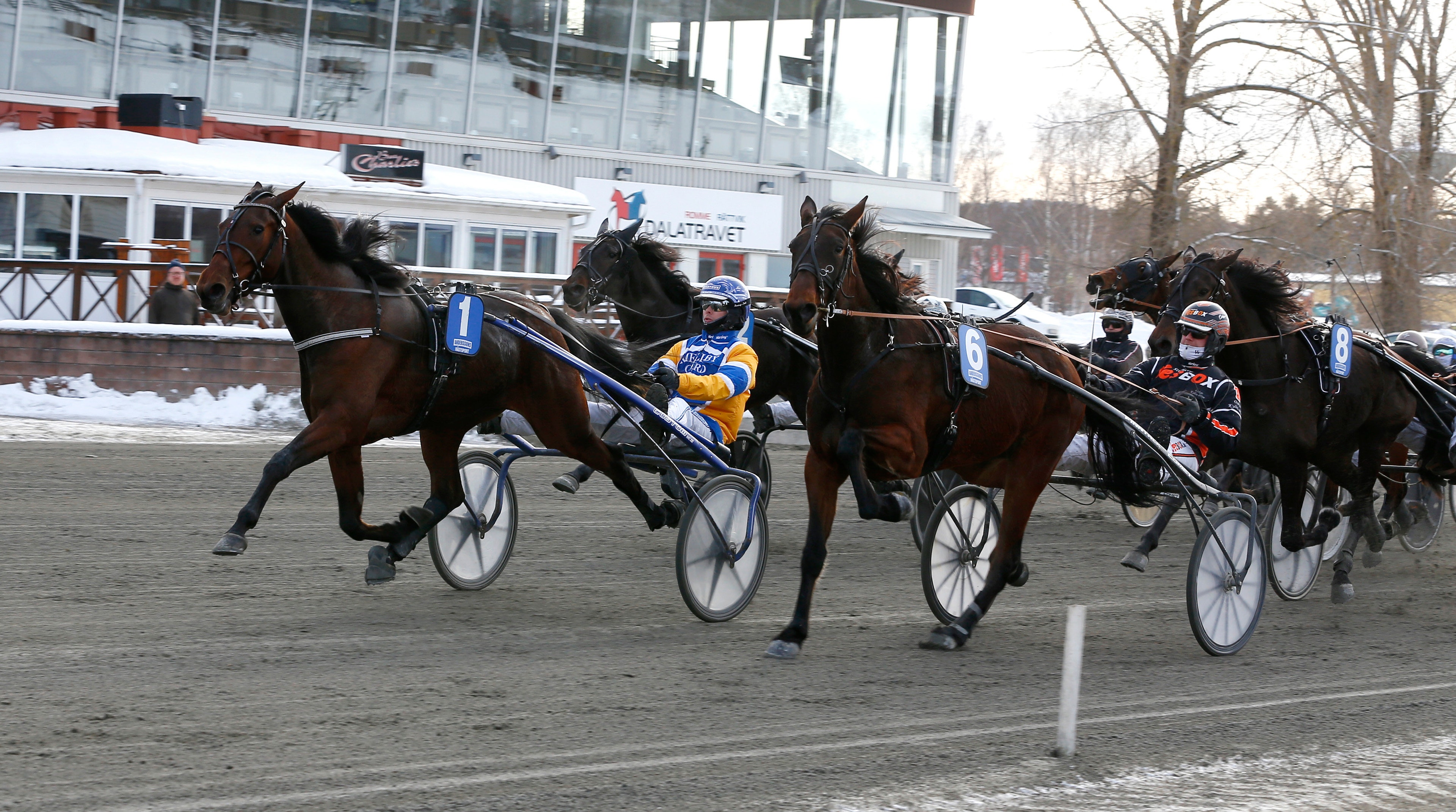 Bergsåkers vd: "Stor förlust"