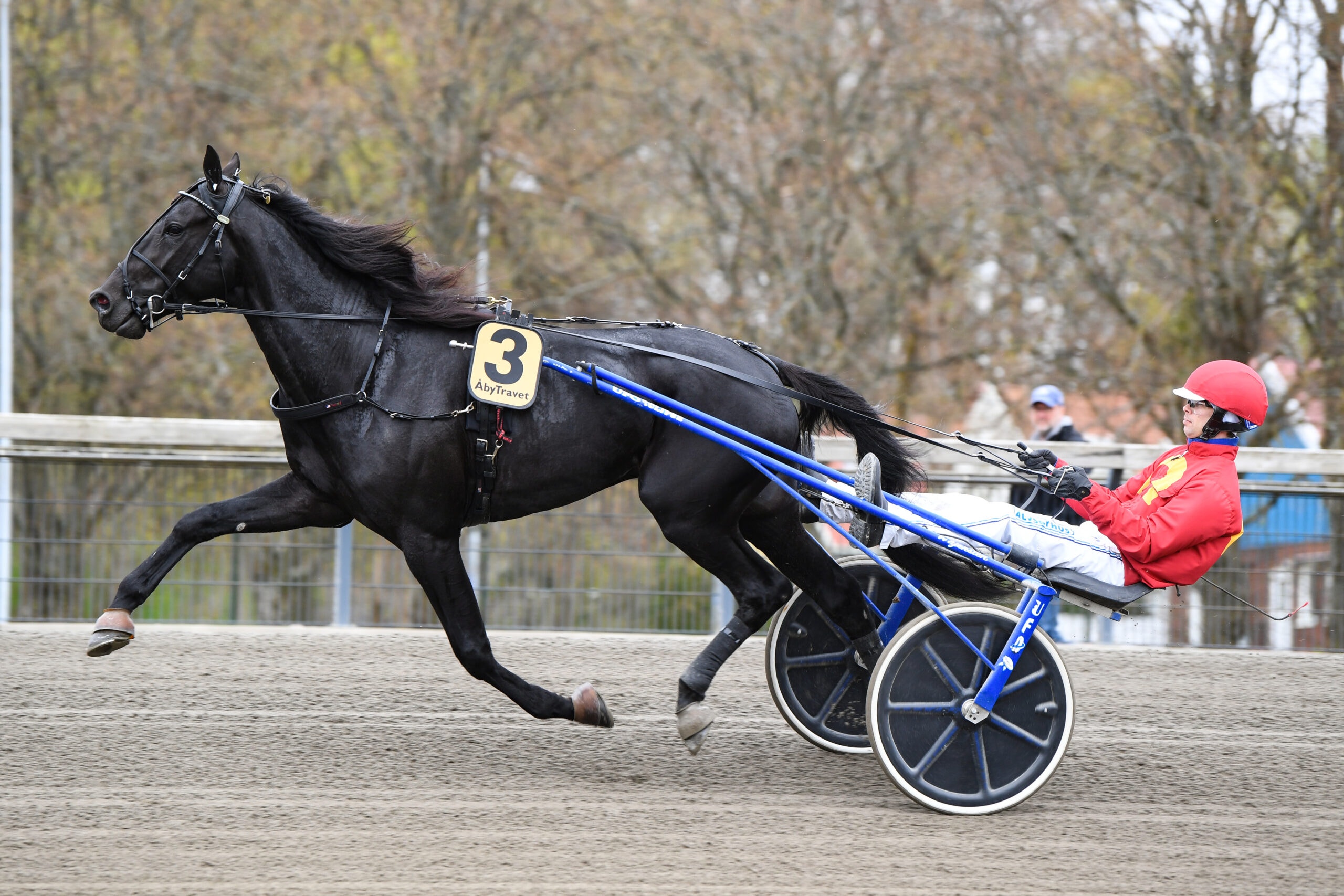 Foto: Malin Albinsson/TR Bild