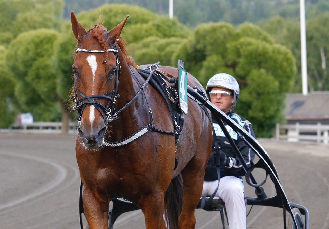Delad omgång mellan Bjerke och Bergsåker där Robert Bergh selar ut ett par hästar med chans - Foto: ALN