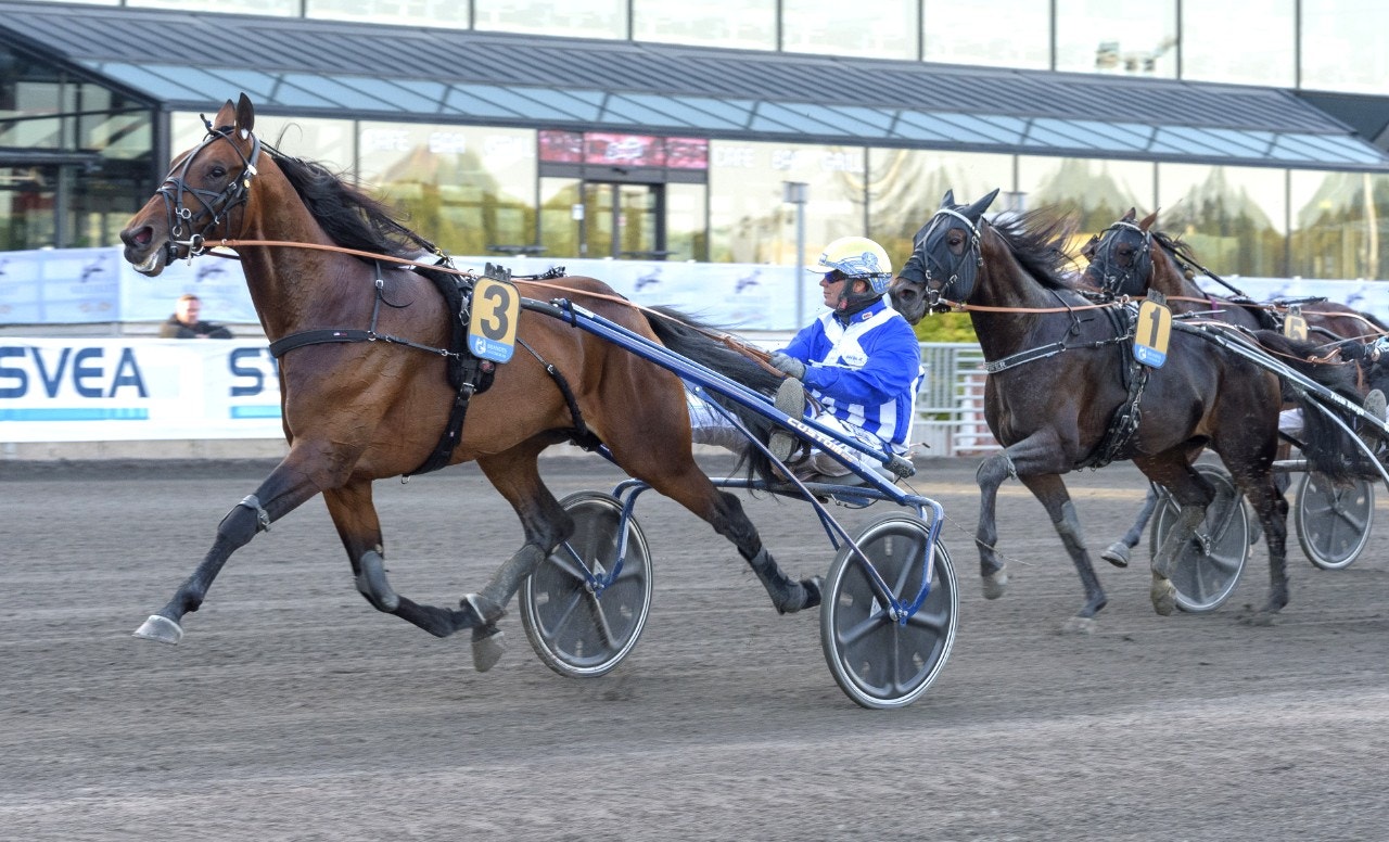 Ecurie D. var inte direkt bekymrad på sin väg mot seger i UET-kvalet. Foto: Tommy Andersson, ALN