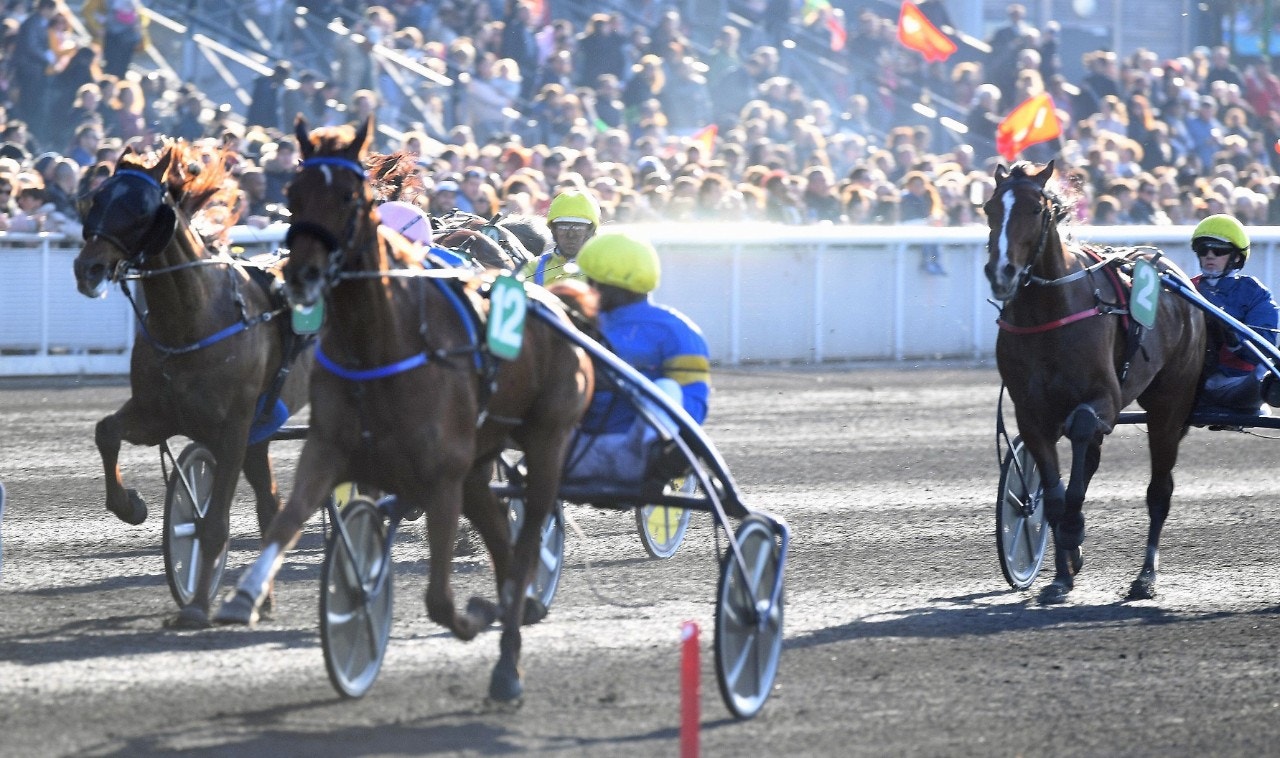 Bélina Josselyn är titelförsvarare i Prix de Paris. Foto: Gerard Forni, Scoop Dyga