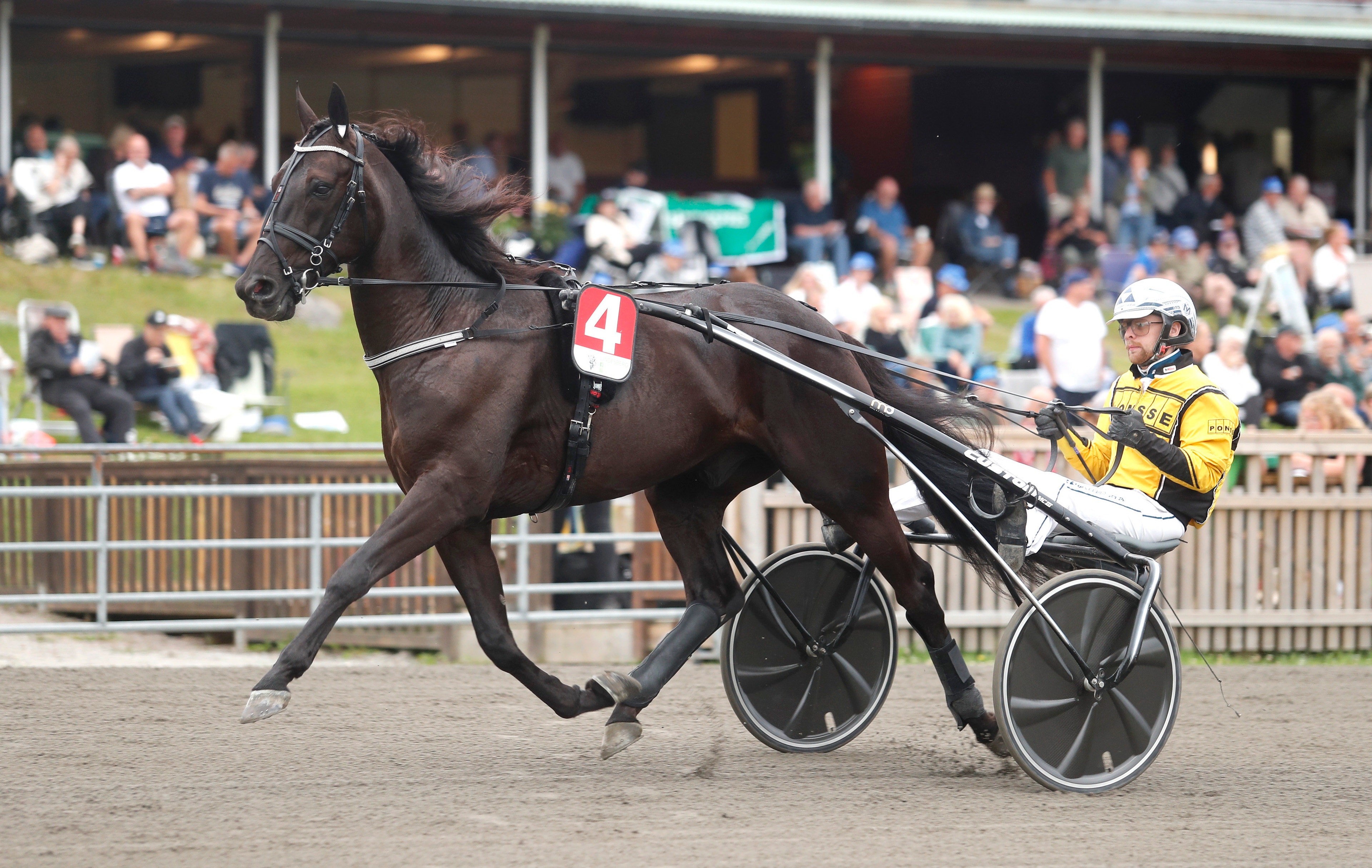 Snackhästens nästa uppgift spikad