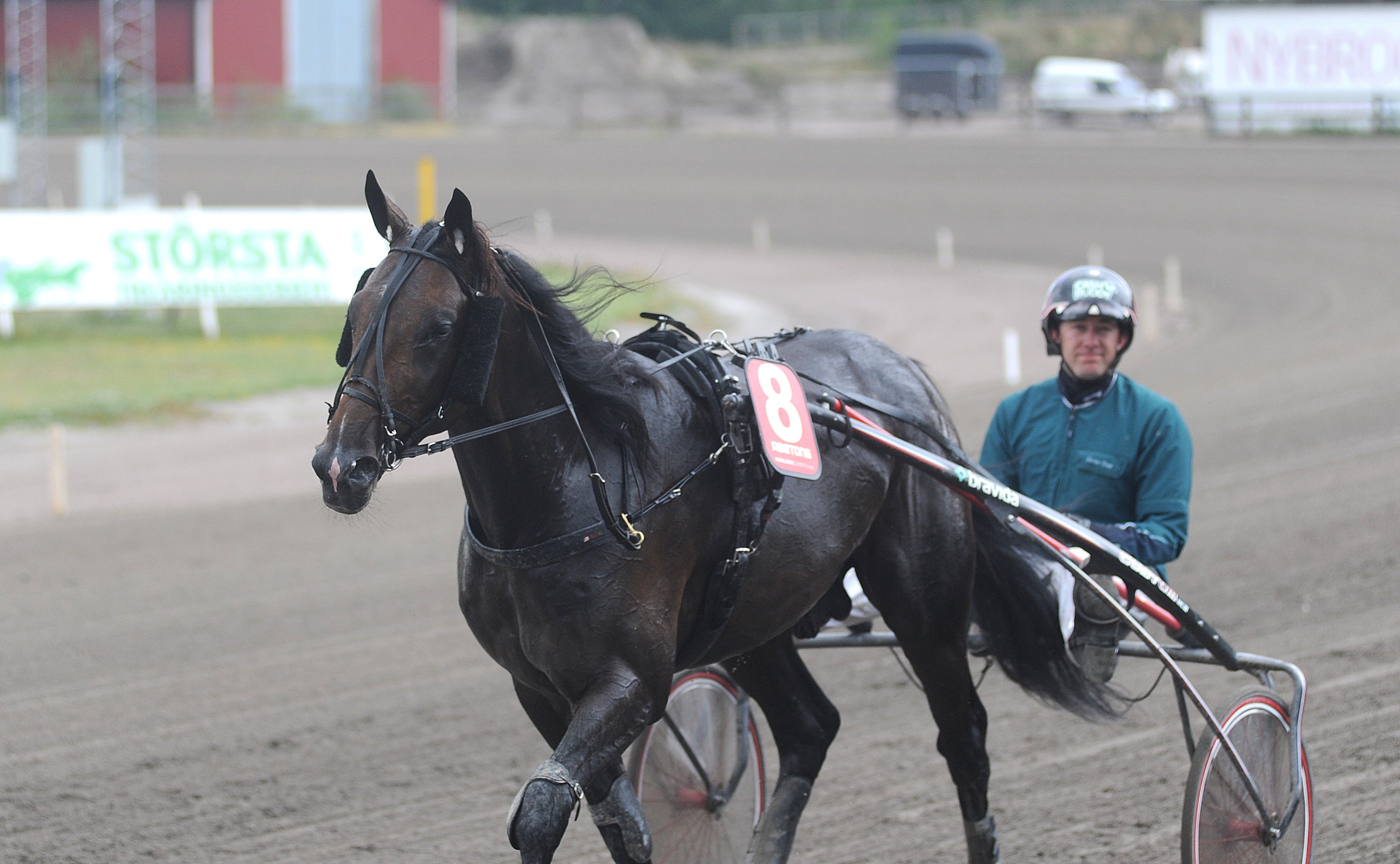 V4-tips: Talangen gör comeback – spikas?