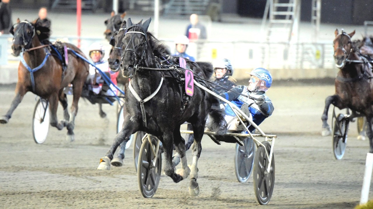 Sorbet provar lyckan i Ego Boys Minne. Foto: ALN