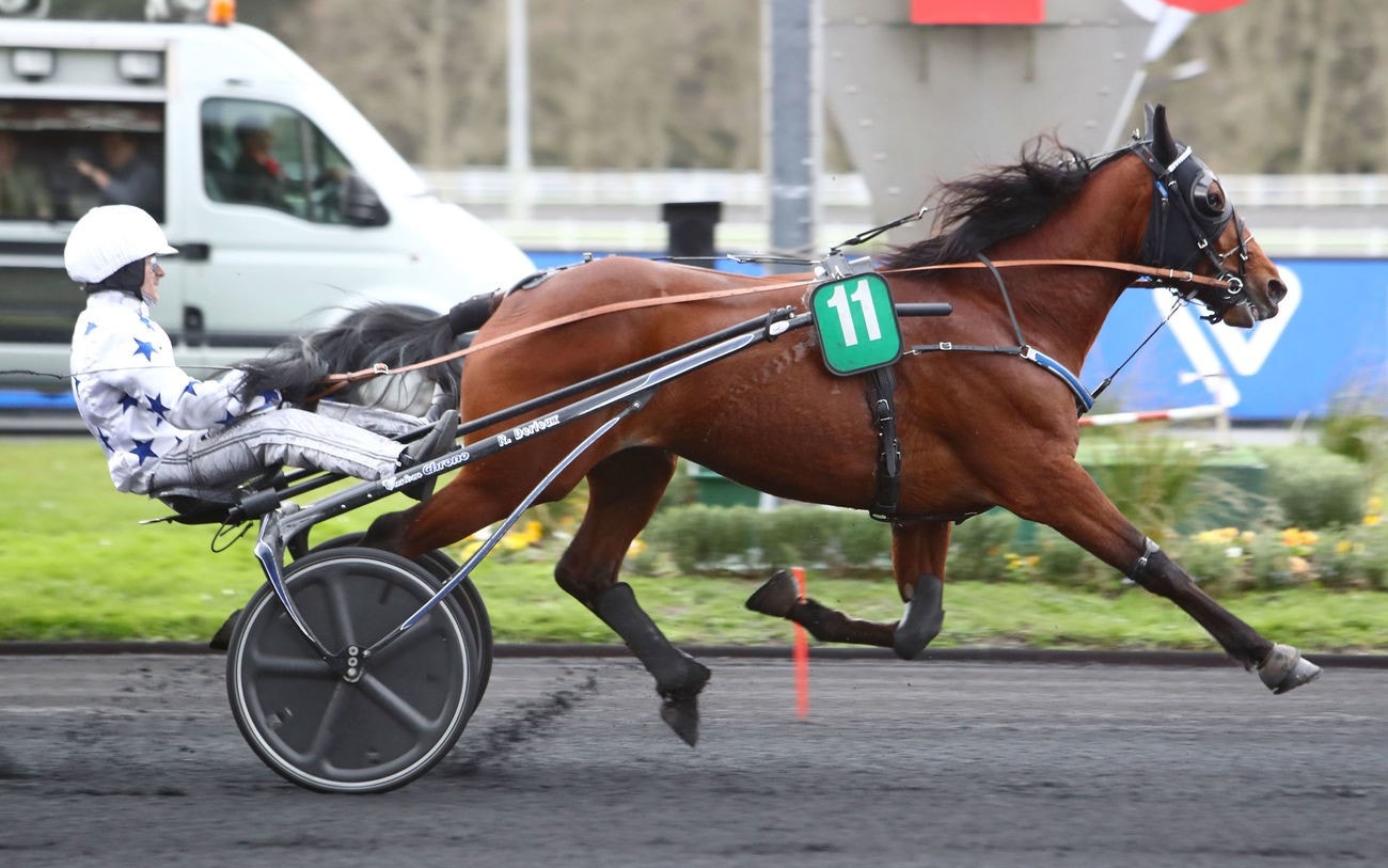 Foto: Gerard Forni, Scoop Dyga