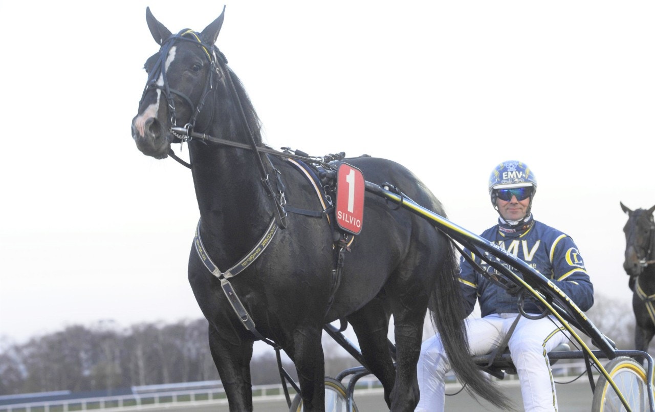 Lugauer Derby-vinnare - i Österrike