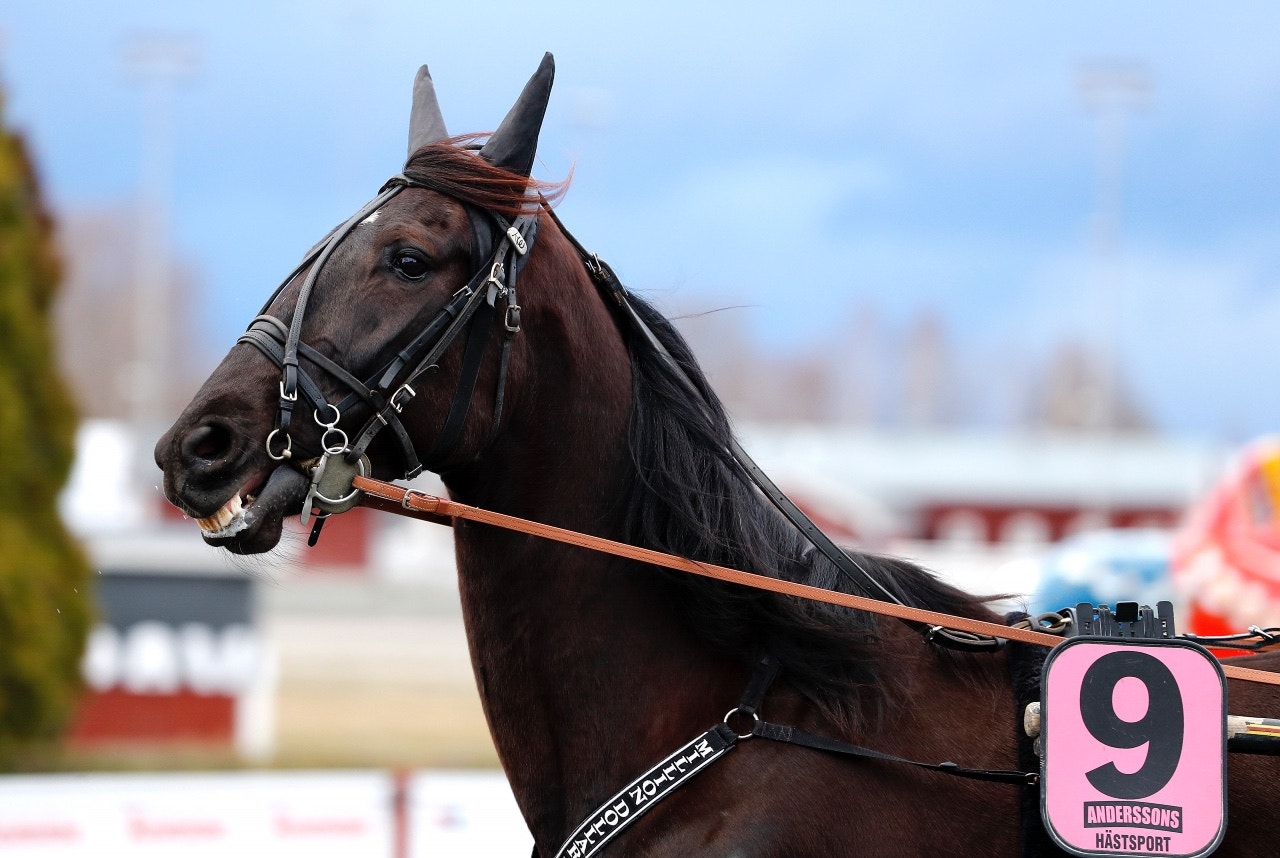Milliondollarrhyme slog till I Frankrike - Foto: ALN