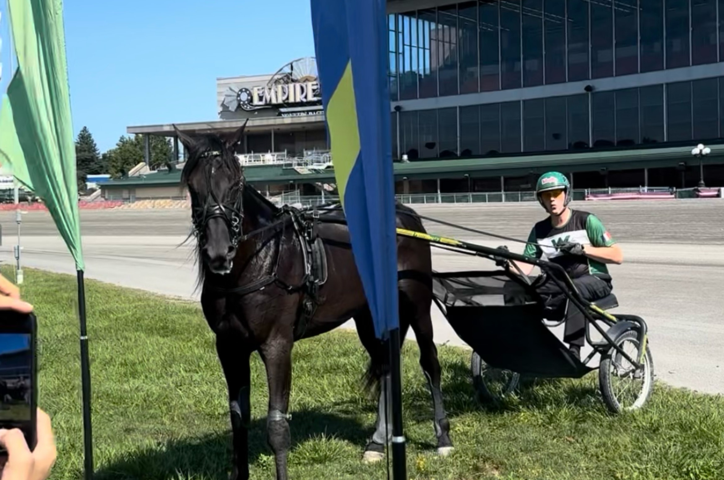 VM-hästen jagar revansch