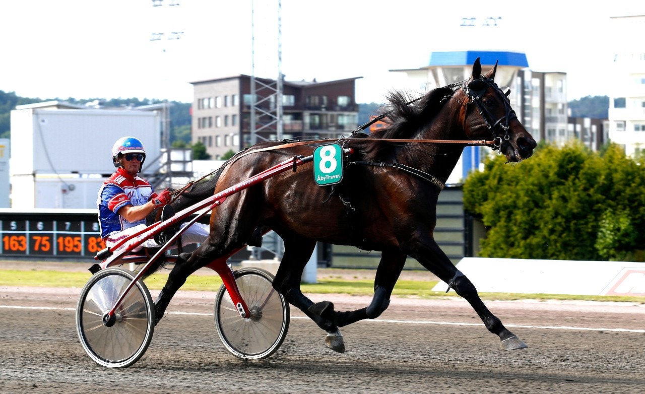 Ferrari B.R. för sin tidigare tränare Per Oleg Midtfjeld. Foto: Hanold, ALN