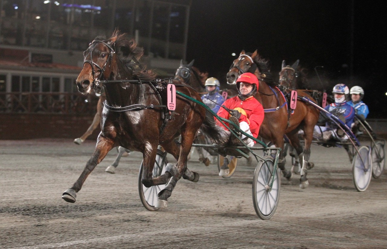 Solvalla 6 februari: Det bästa sparas till sist!