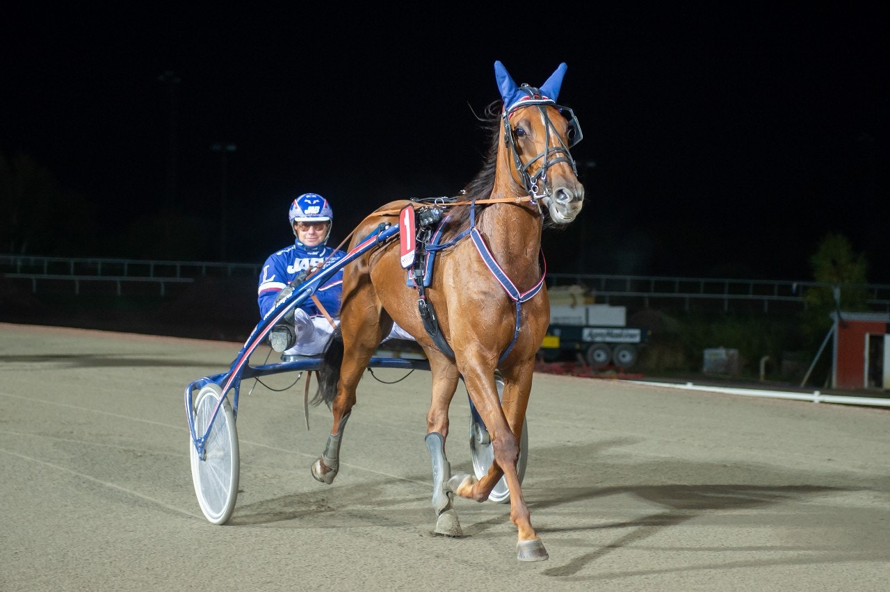 Tragedi på Åby - hästen dog under loppet
