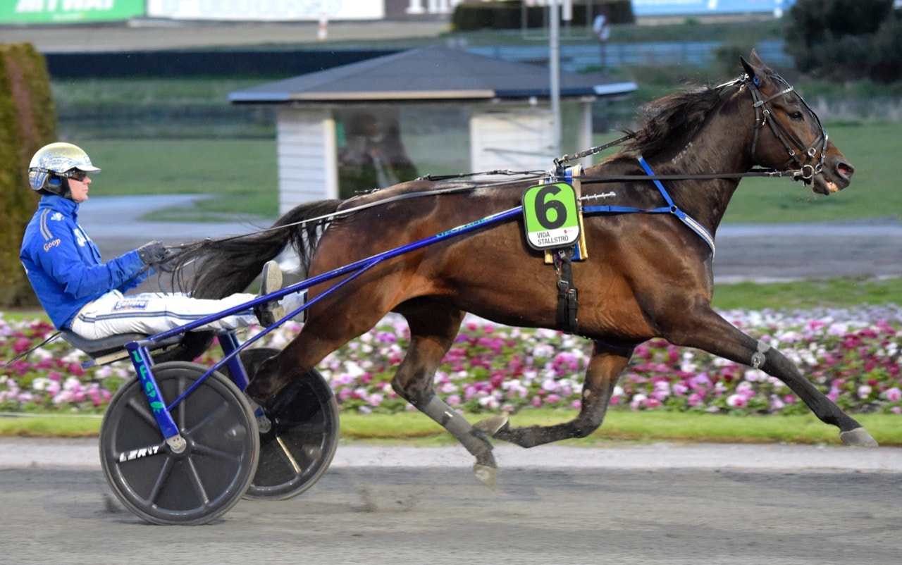 Tips Bjerke 9 juni - Nadal Broline blir farlig i OGP