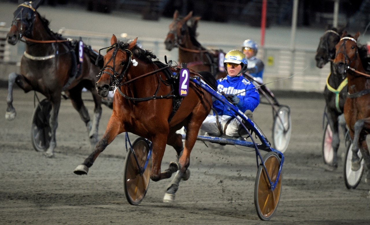 Miljonär från Goop till Danmark