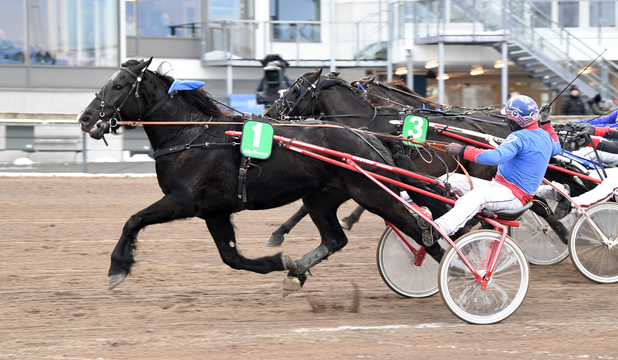 Foto: Malin Albinsson, TR Bild