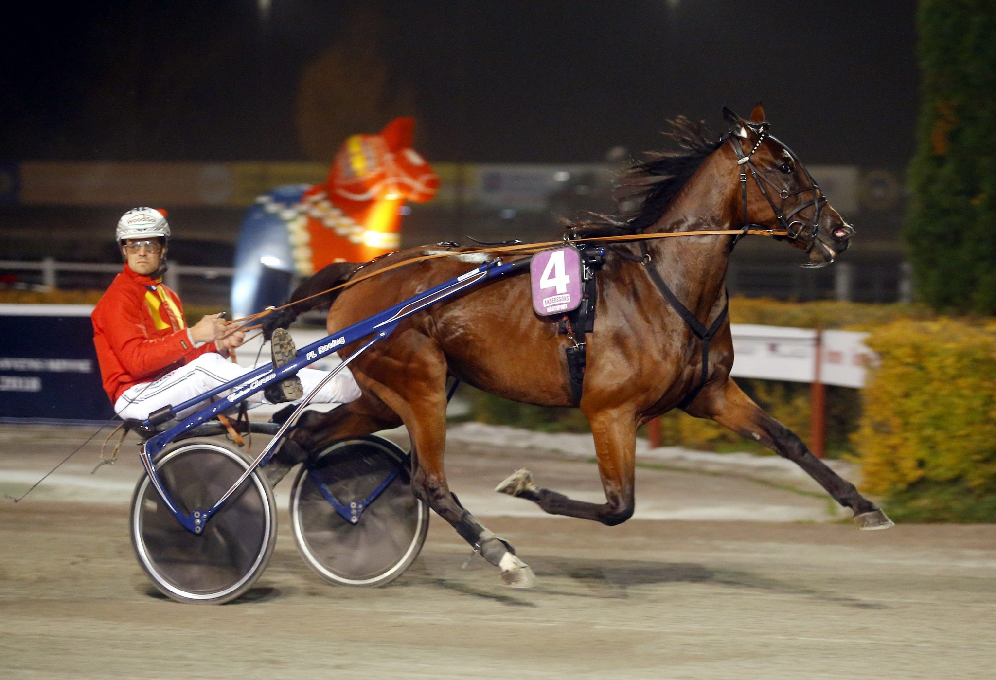 Tips Halmstad 24 juni: Zeta Wise As ett kul chansspel