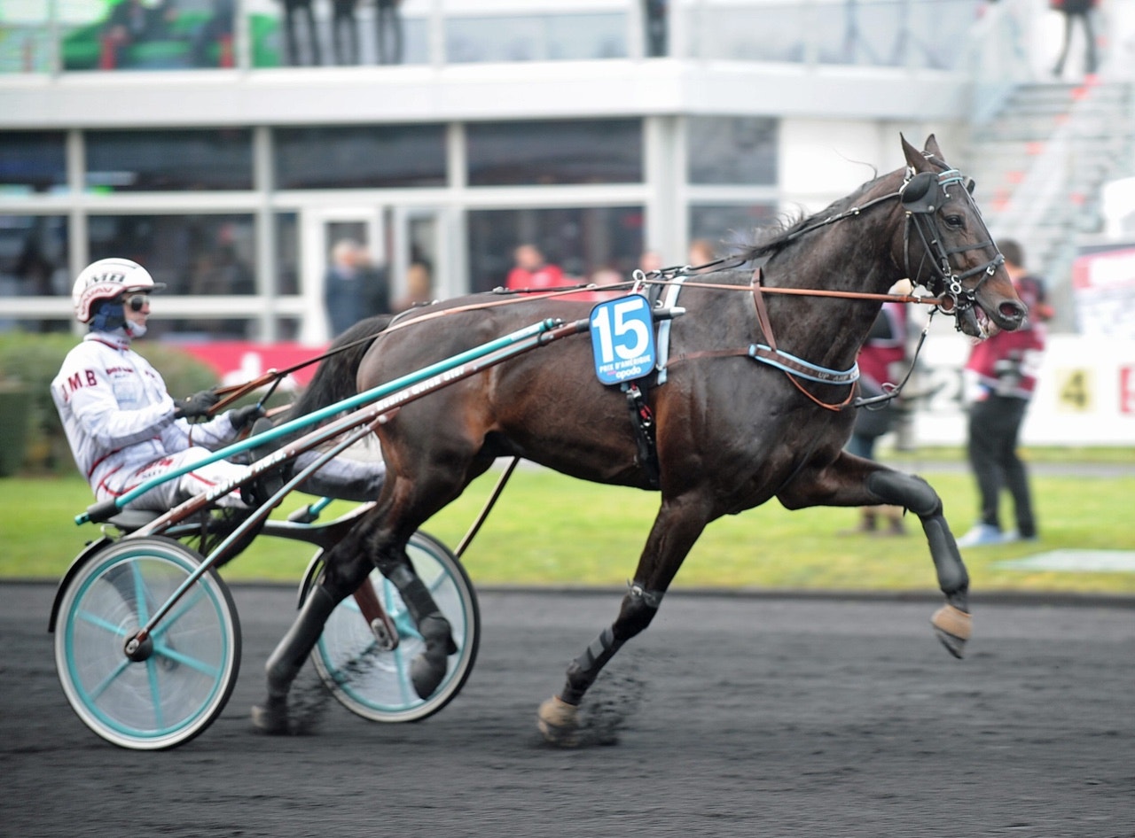 Dark Night Love höll undan