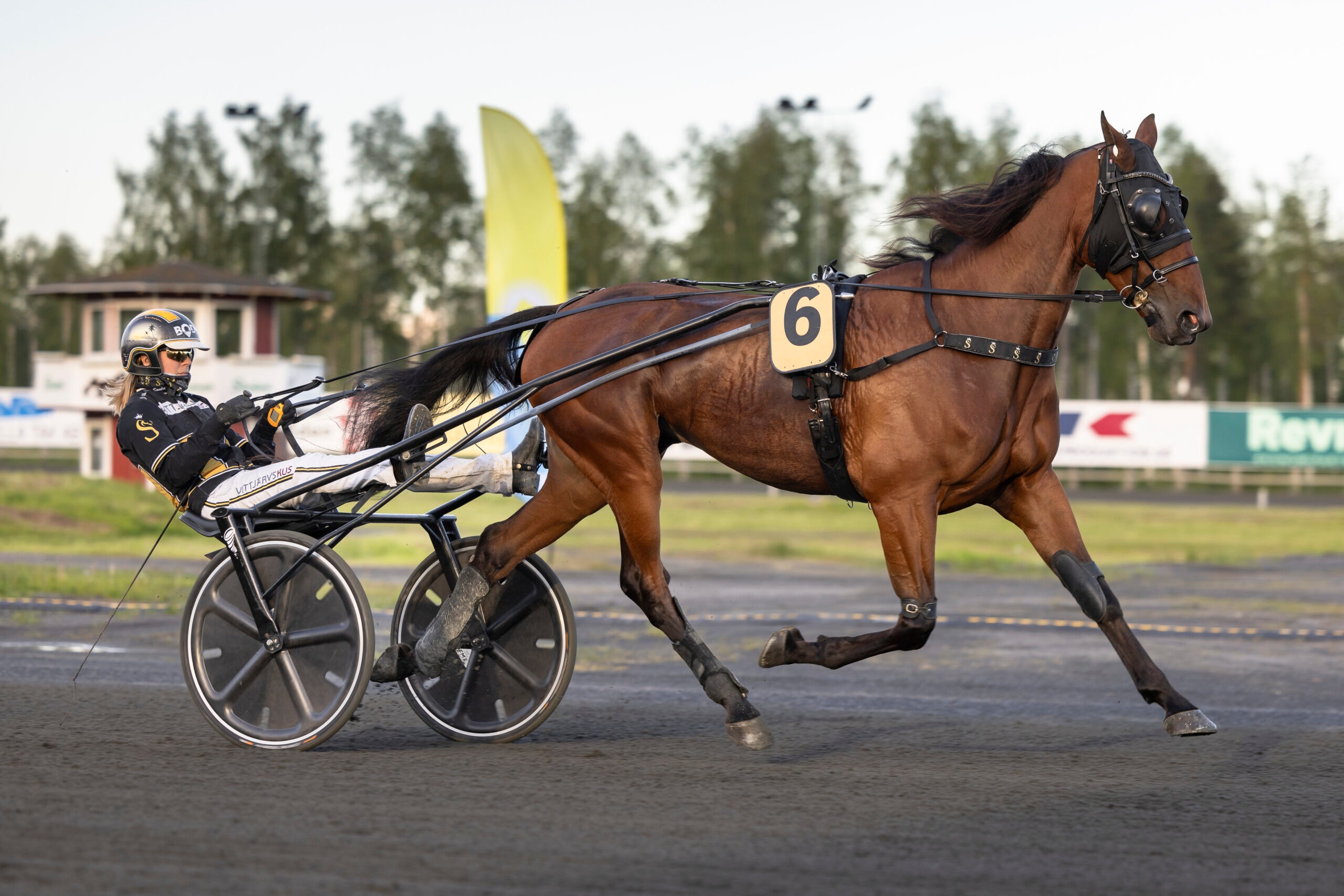 Foto: Lena Emmoth/TR Bild