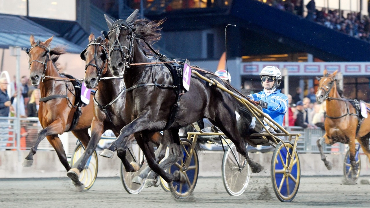 Your Highness har blivit mamma på nytt. Foto: Martin Langels, ALN