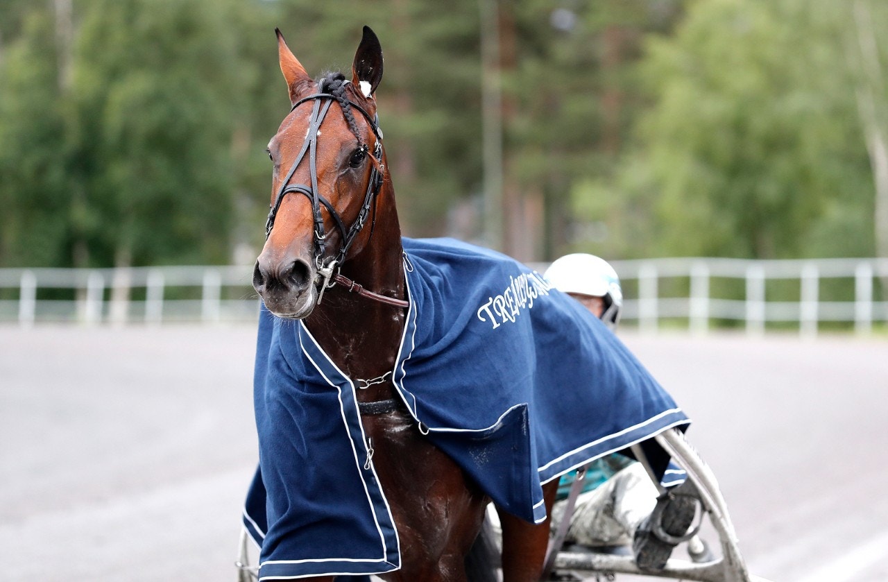 Treåringstoppar i möte