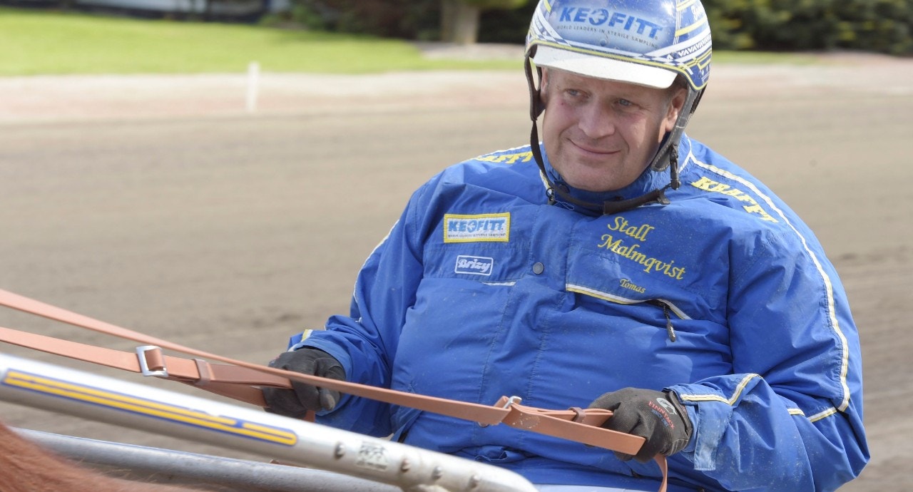 Tomas Malmqvist tränar auktionsdyringen Hunter Valley. Foto: Leif Norberg, ALN