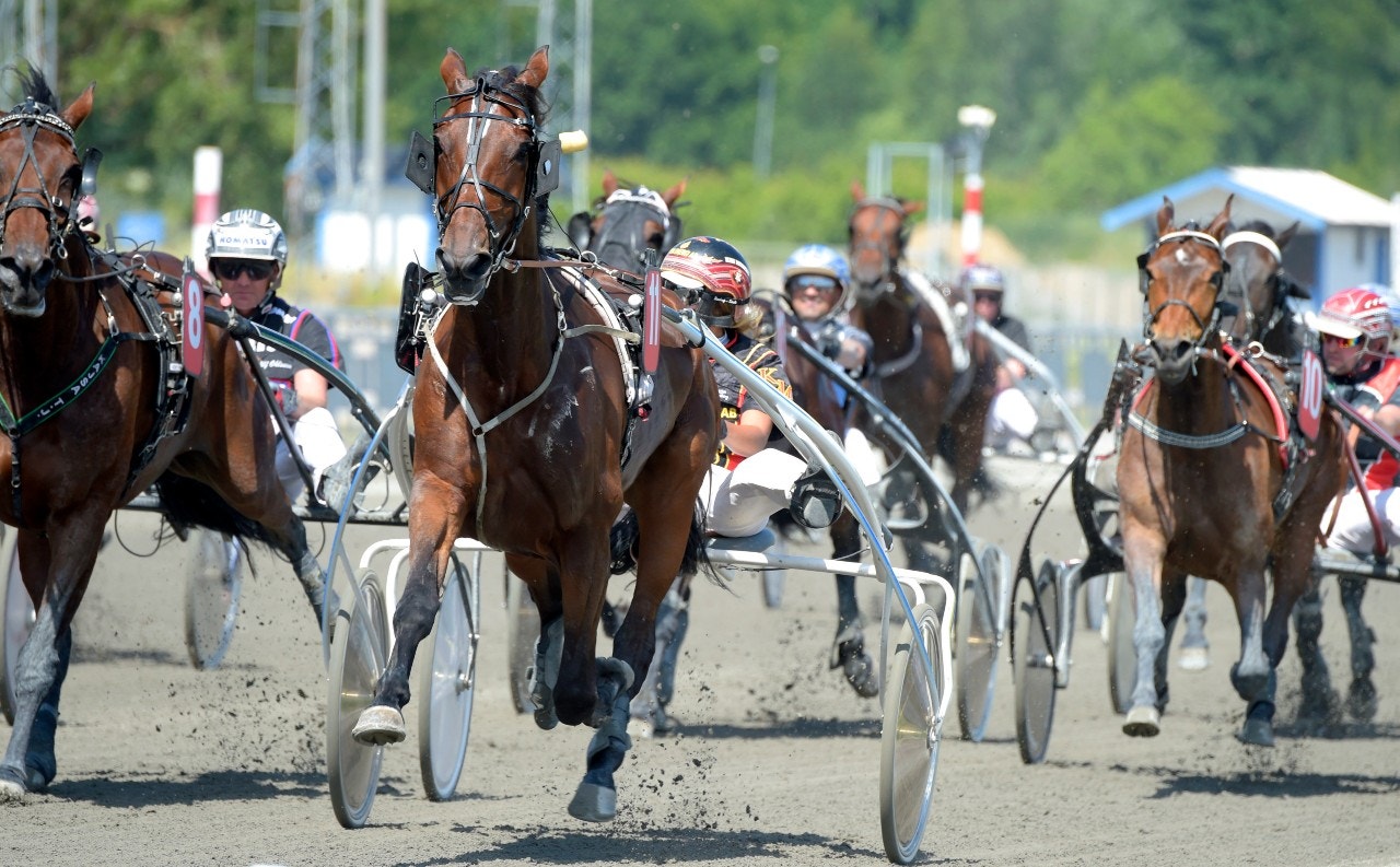 Quarcia - rundar allt i Påskägget. Foto: Martin Langels, ALN