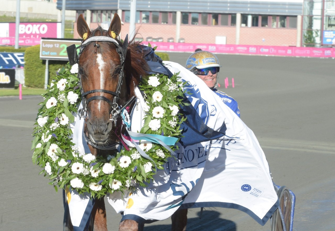 Stayerkungen Moni Viking är en av hästarna i sprintern S:t Michel-Ajo. Foto: ALN