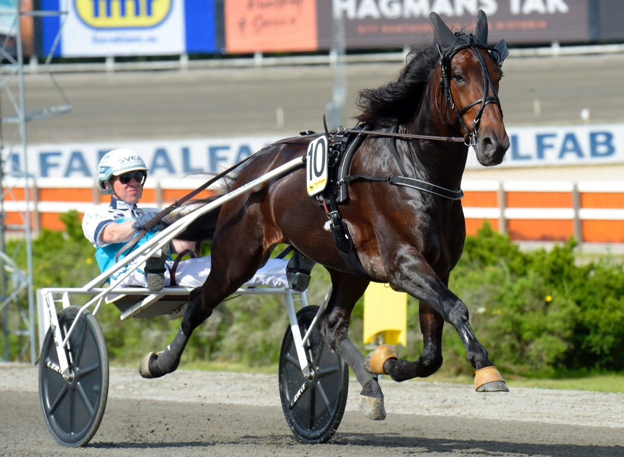 Bergsåker 29 augusti: Coogan ska vara överlägsen - bästa vinnaren!