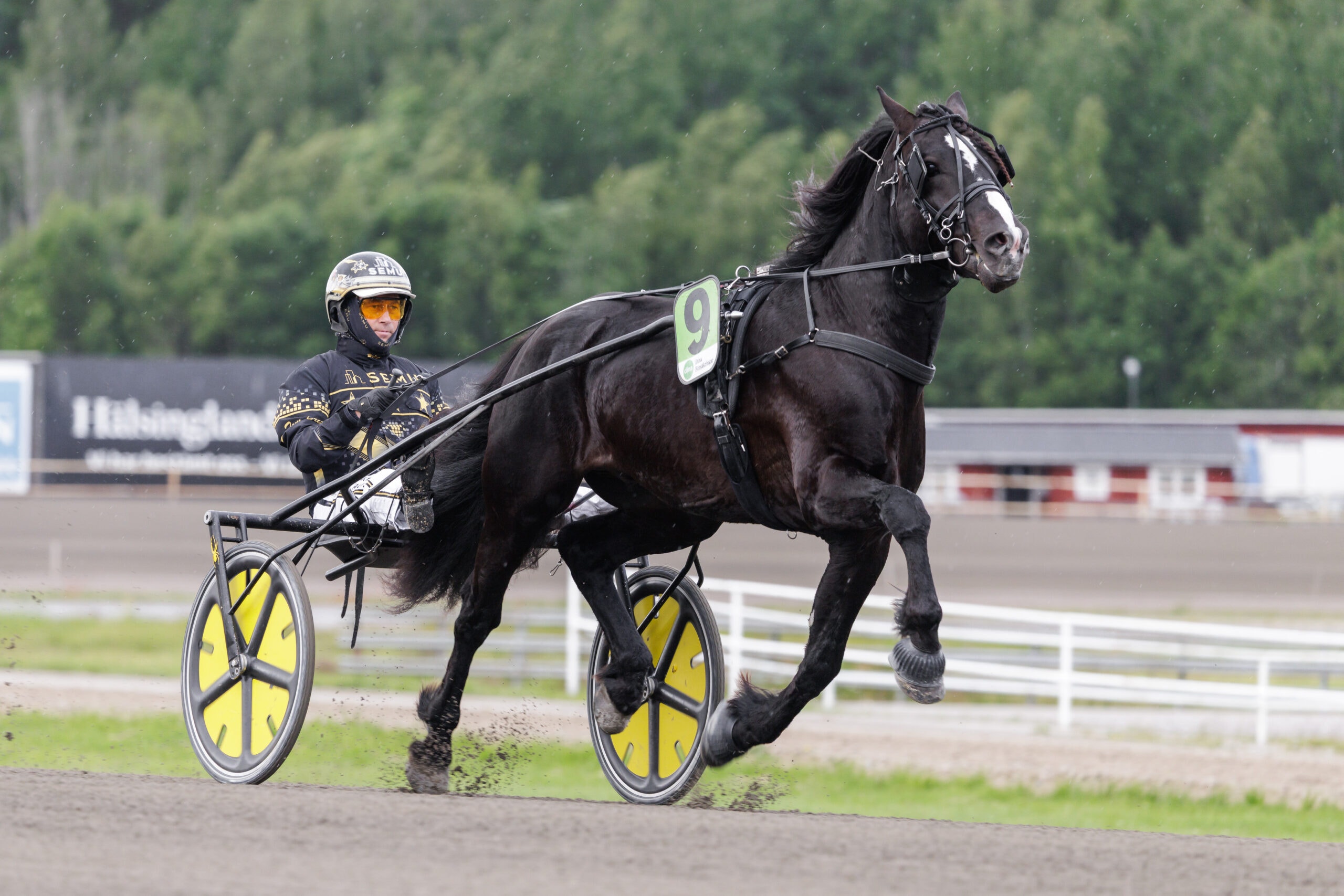 Foto: Lena Emmoth/TR Bild
