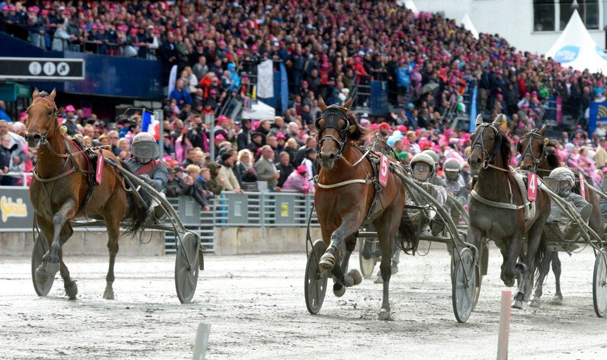 Det är dags igen. Elitloppet står för dörren. Här är allt om deltagarna. Foto: Martin Langels, ALN