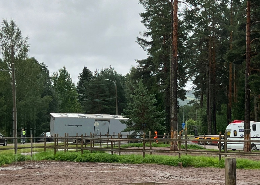 Melanders hästbuss i diket utanför stallbacken